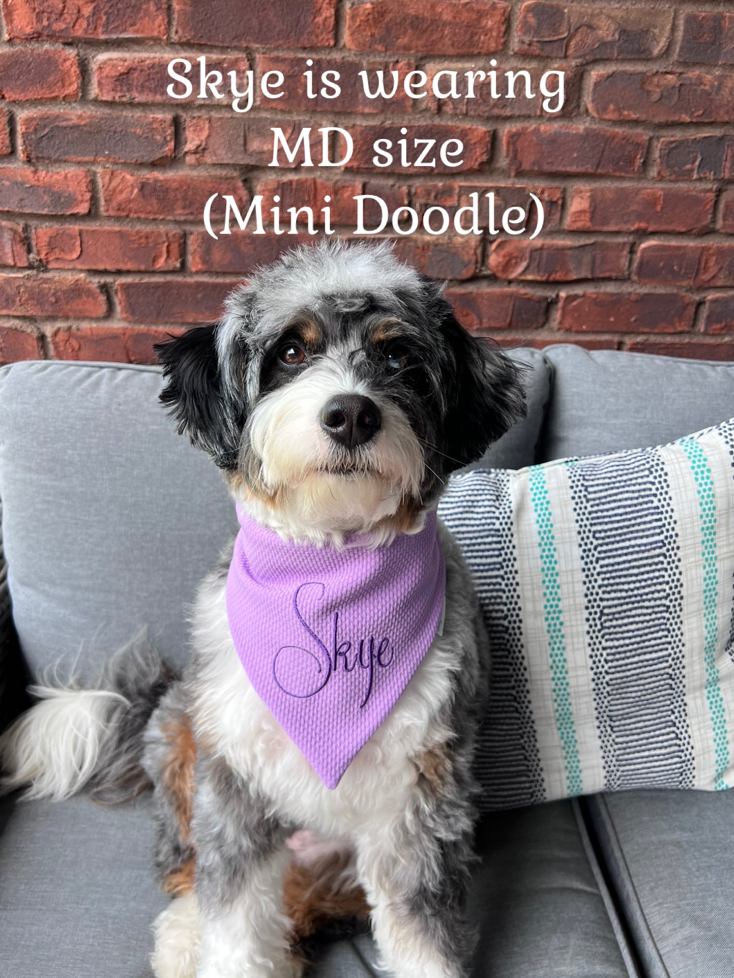 Personalized Dog Bandana:  Scrunchie, Lavender or Dusty Blue; Knit Jersey Bullet Textured Fabric