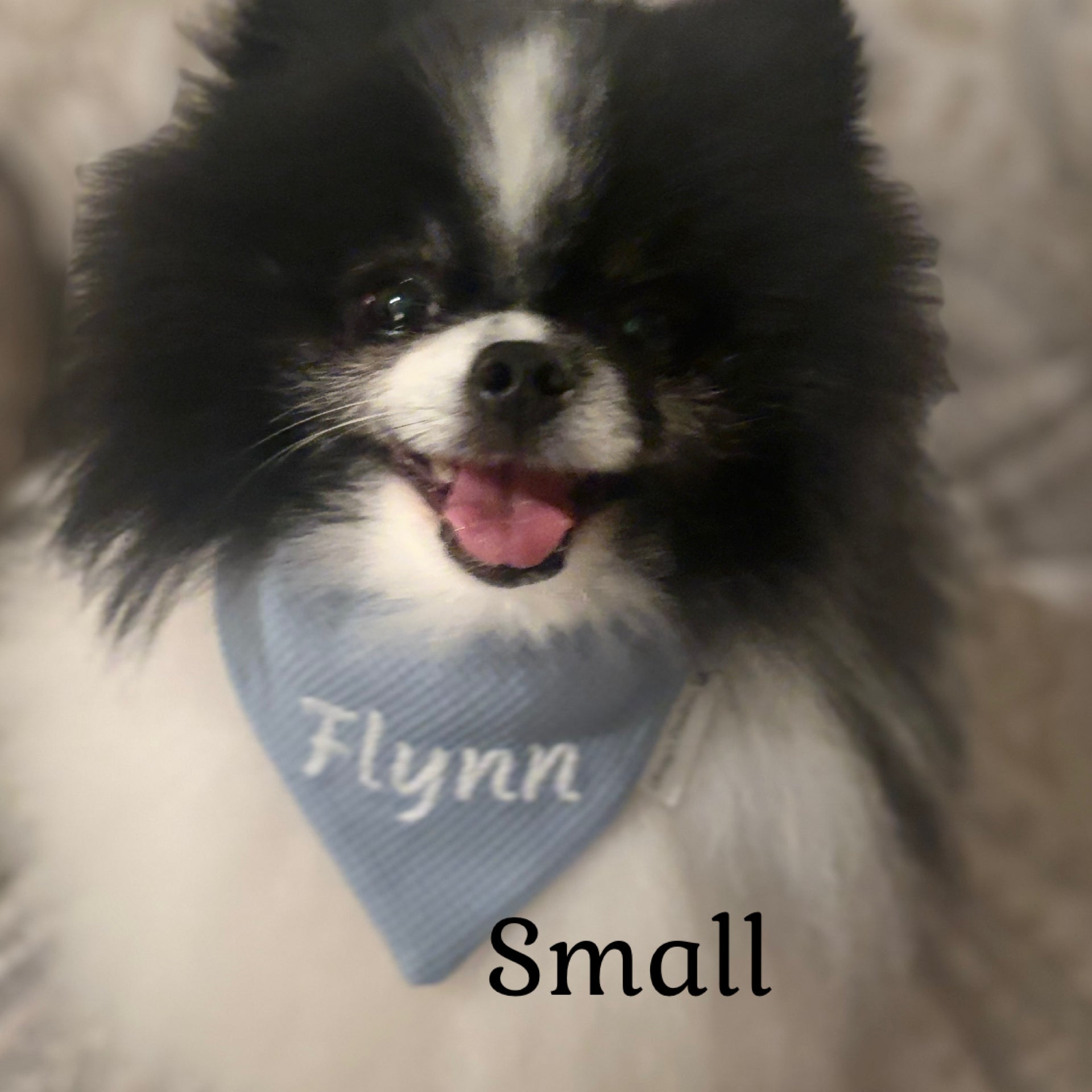 Personalized Dog Bandana:  Scrunchie, Lavender or Dusty Blue; Knit Jersey Bullet Textured Fabric