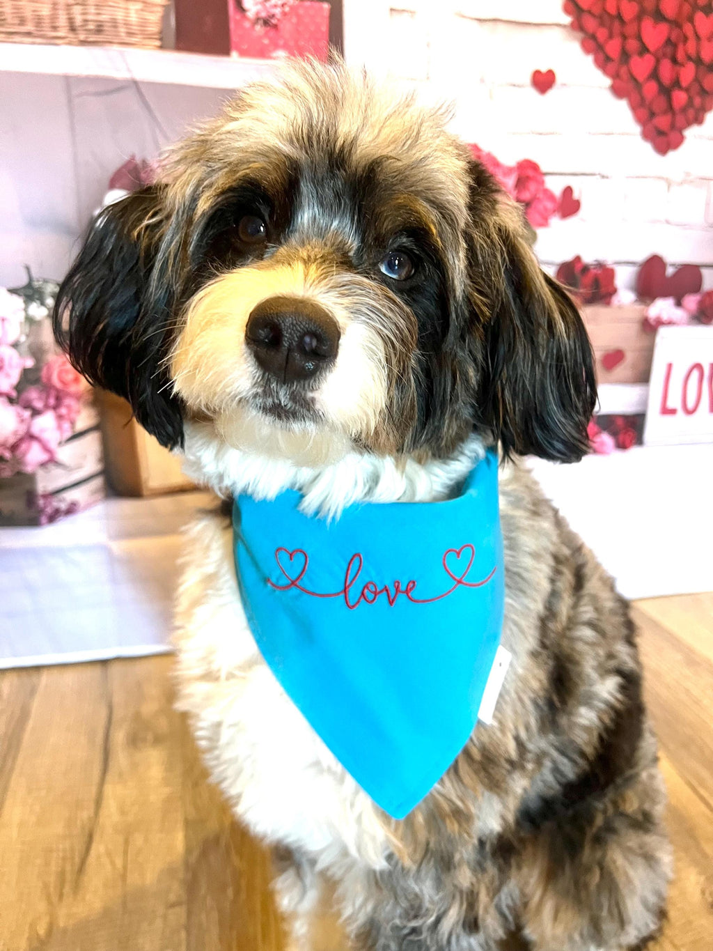 Love Dog Bandana: Scrunchie, Valentine Embroidered Turquoise