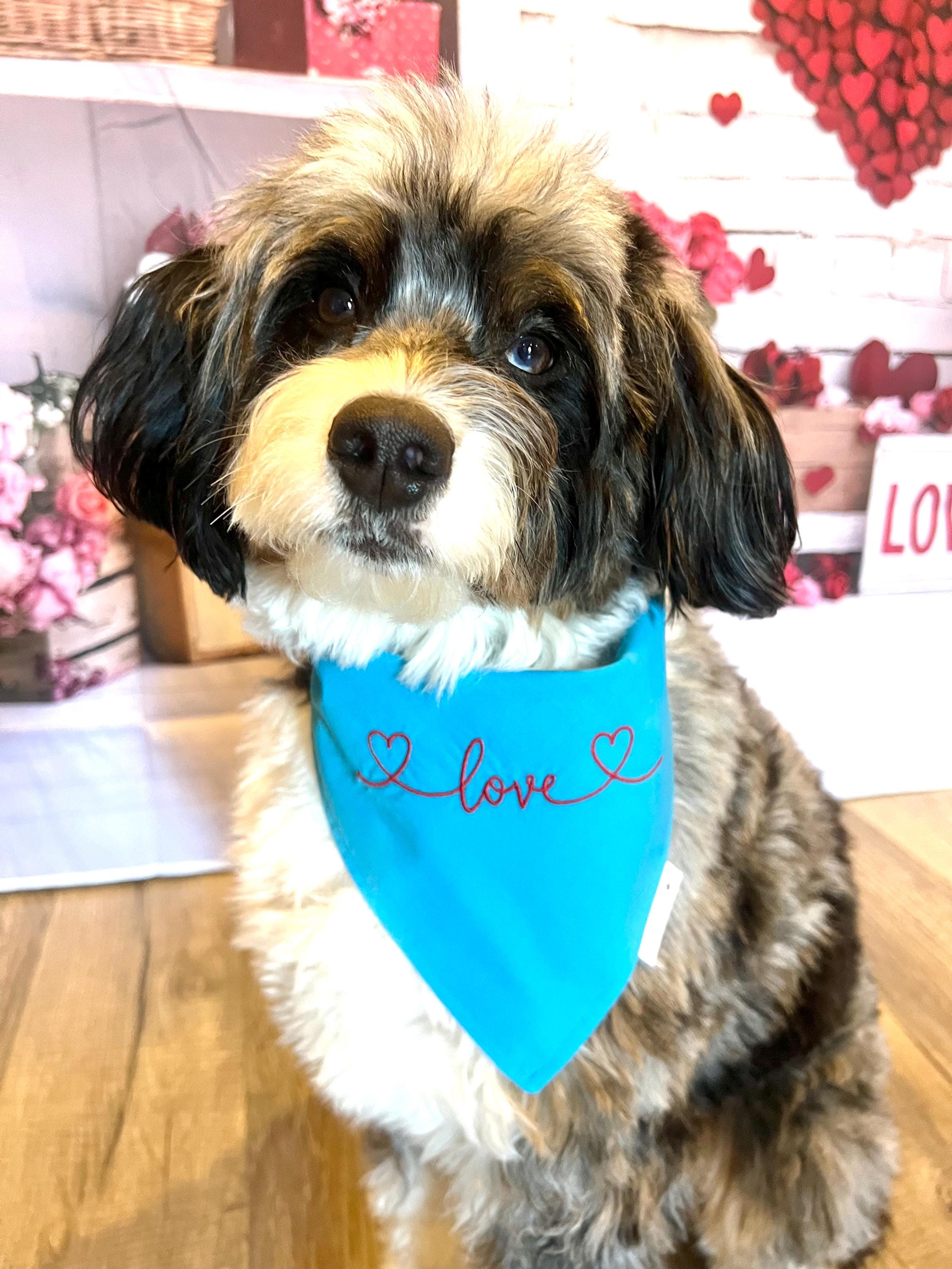 Love Dog Bandana: Scrunchie, Valentine Embroidered Turquoise