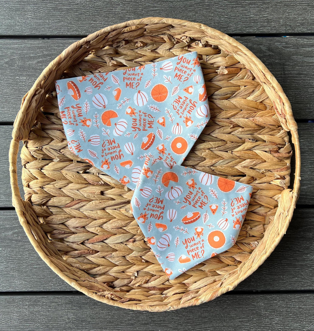 Fall Pumpkin Pie Dog Bandana: Scrunchie Piece of Me Teal Jersey Thanksgiving