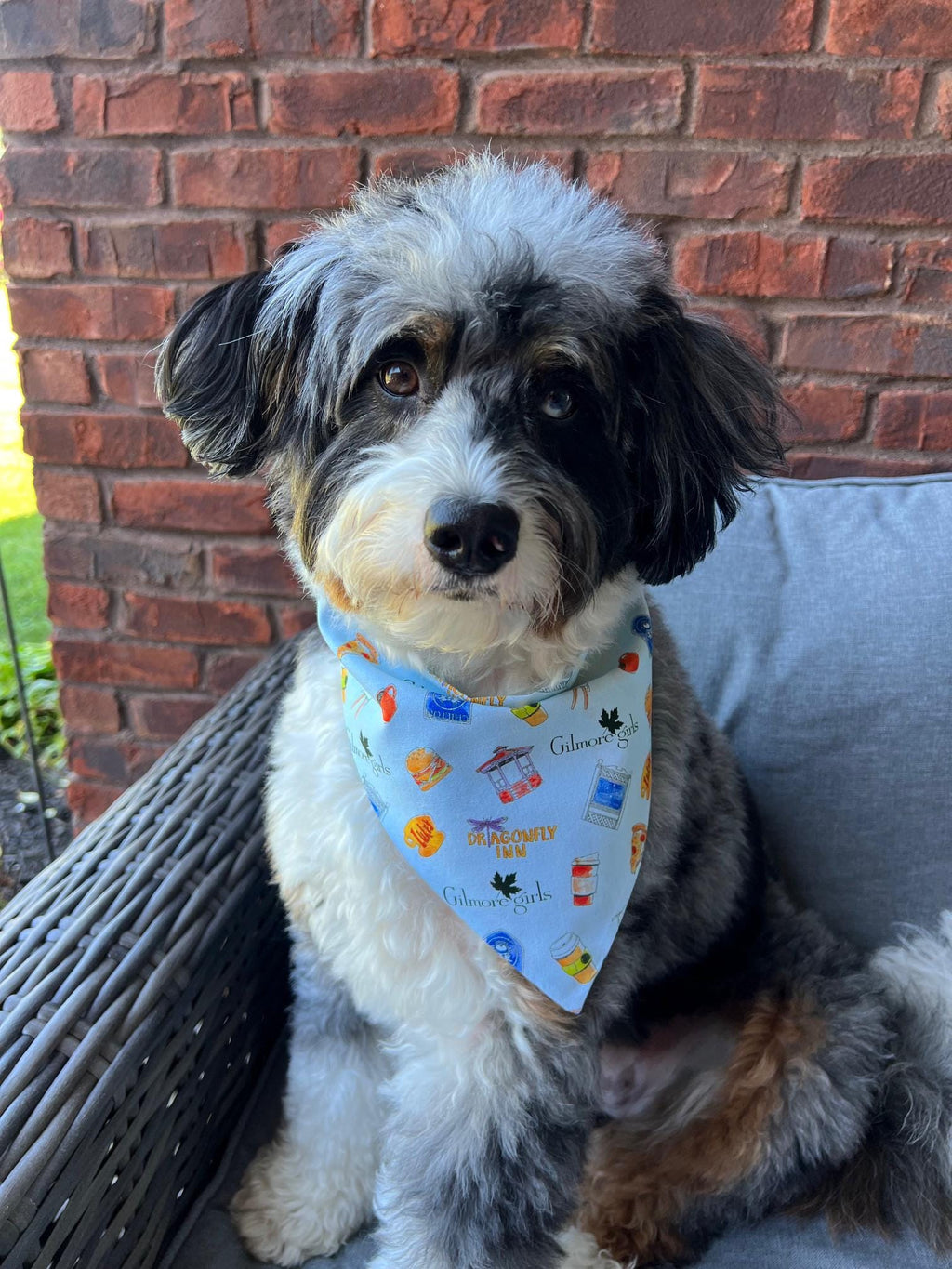 Gilmore Girls Dog Bandana Scrunchie Stars Hollow Luke's Pop Culture