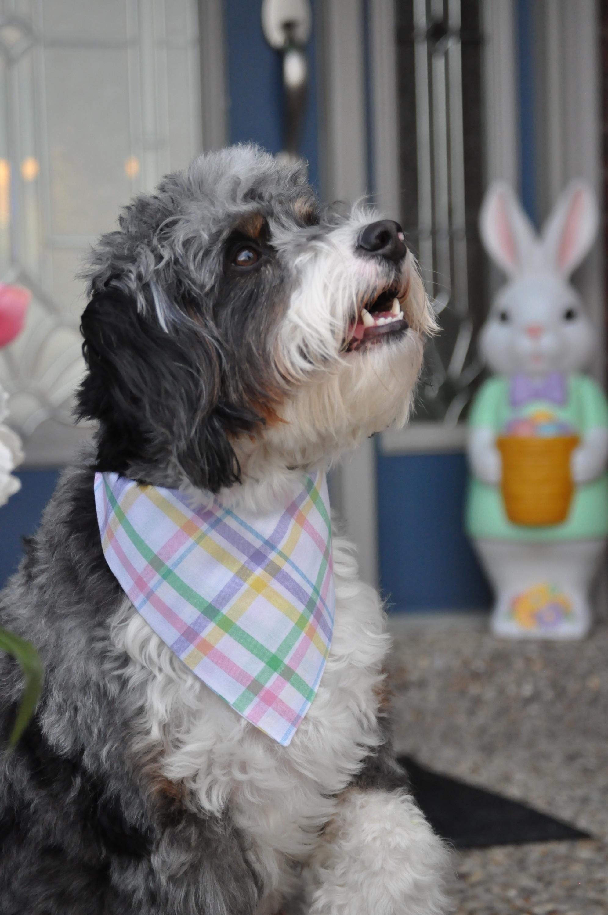 Easter Plaid Pastel Dog Bandana Over the Collar, Bow Tie, Scrunchie Bandana, Pink Purple Mint Green Yellow Blue