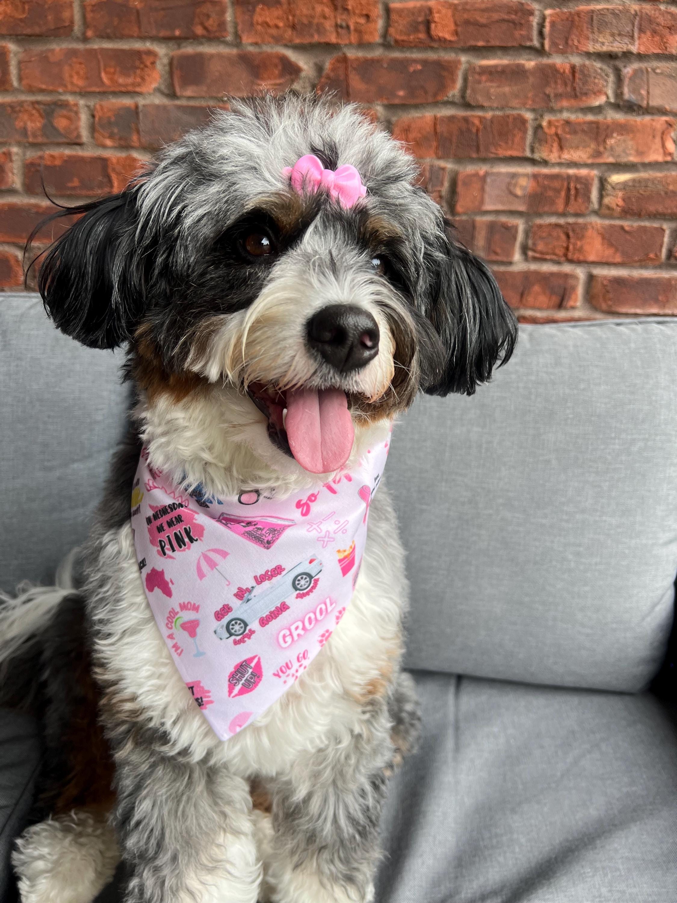 Mean Girls Dog Bandana: Scrunchie and Over the Collar Pink Pop Culture