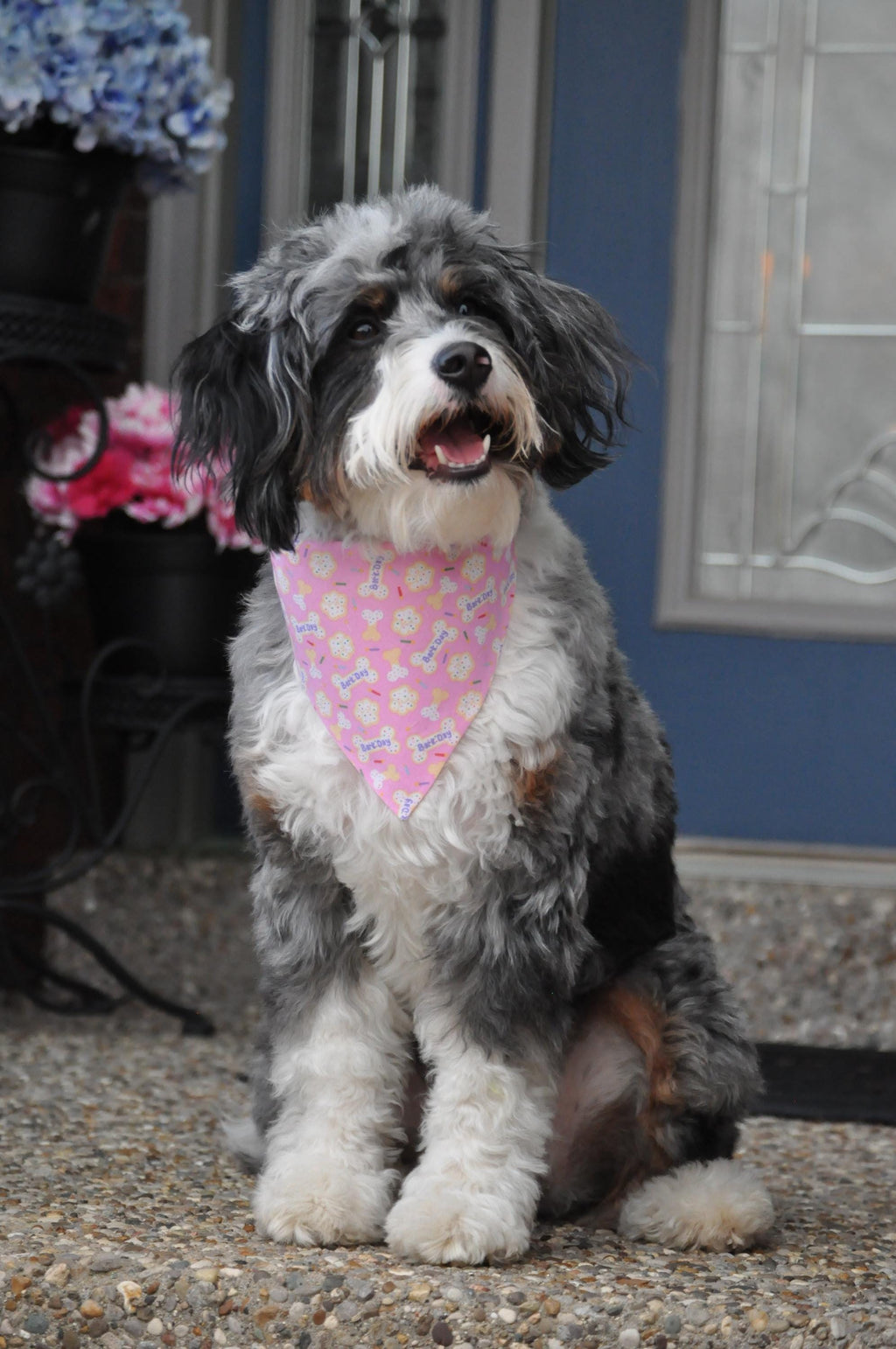 Birthday Bark Day Pink Dog Bandana Over the Collar Scrunchie Bandana Sprinkle Cookie Bones Candles