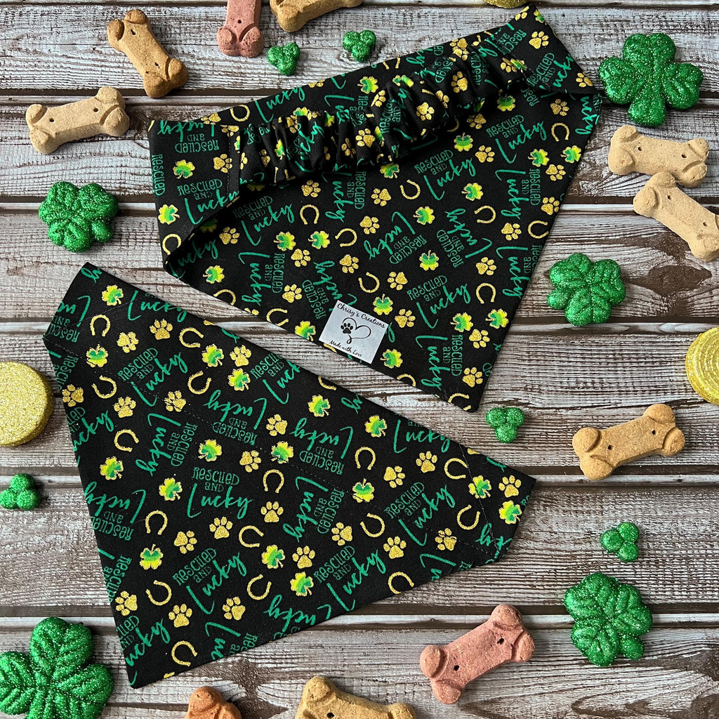 St Patrick's Dog Bandana Rescued and Lucky Black Gold Shamrock Horseshoe Paw Over the Collar Scrunchiedana Bandana