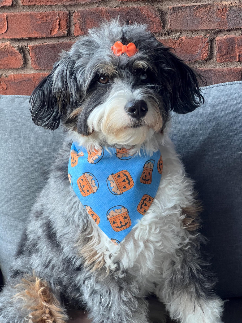 Halloween Dog Bandana: Pumpkin & Bones Over-the-Collar or Scrunchie