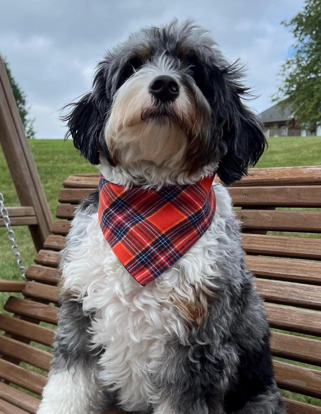 Plaid Flannel Dog Bandana Scrunchie Orange Navy Fall Autumn Thanksgiving