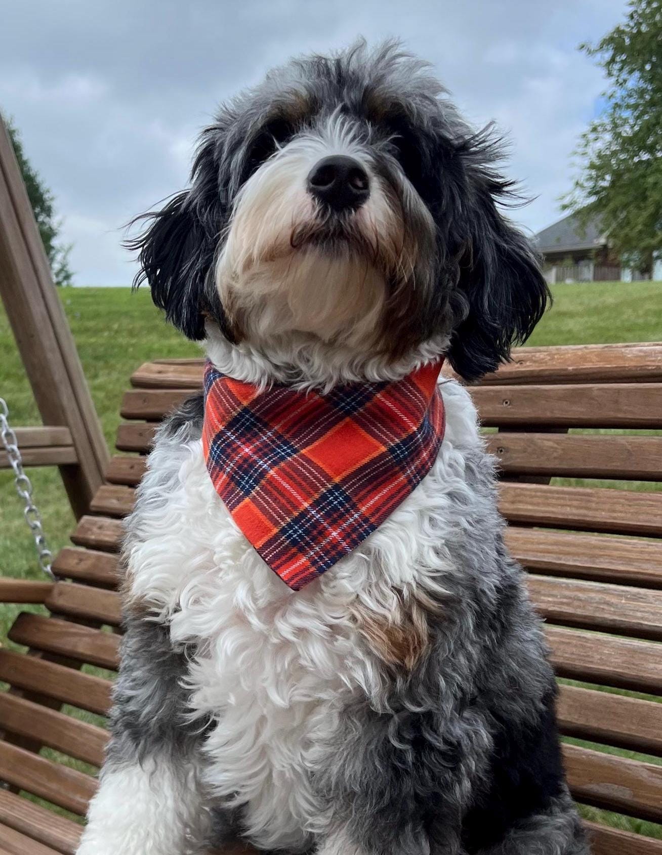 Plaid Flannel Dog Bandana Scrunchie Orange Navy Fall Autumn Thanksgiving