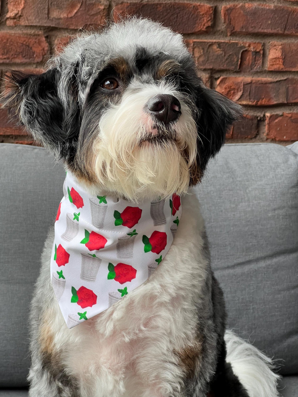 Derby Mint Juleps and Roses White Dog Bandana Over the Collar Scrunchie Kentucky