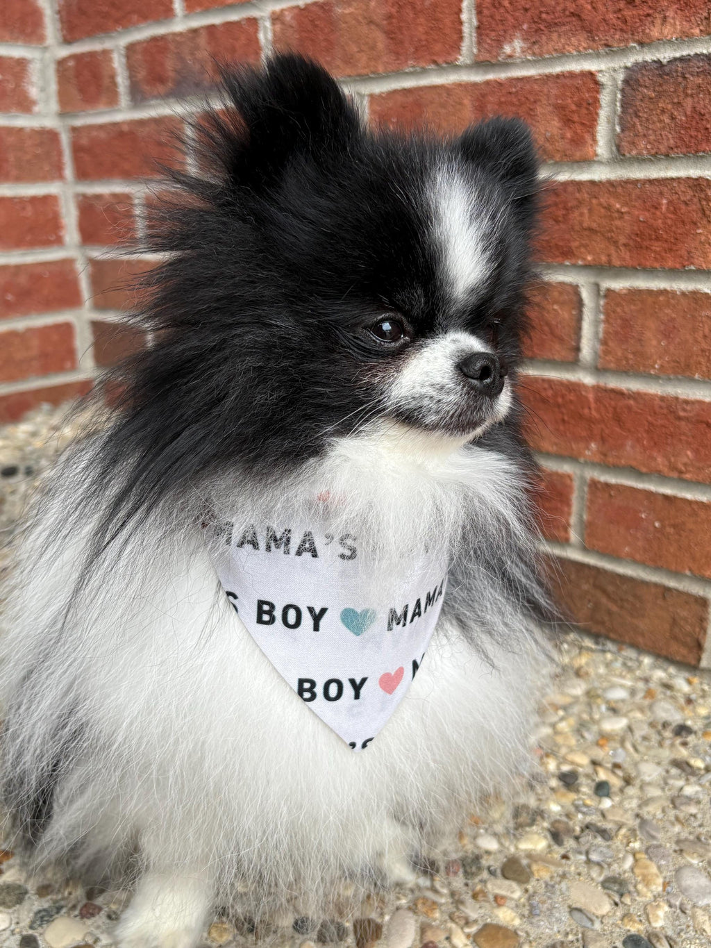 Mama's Boy Dog Bandana: Neutral Boho Hearts, Over the Collar & Scrunchie