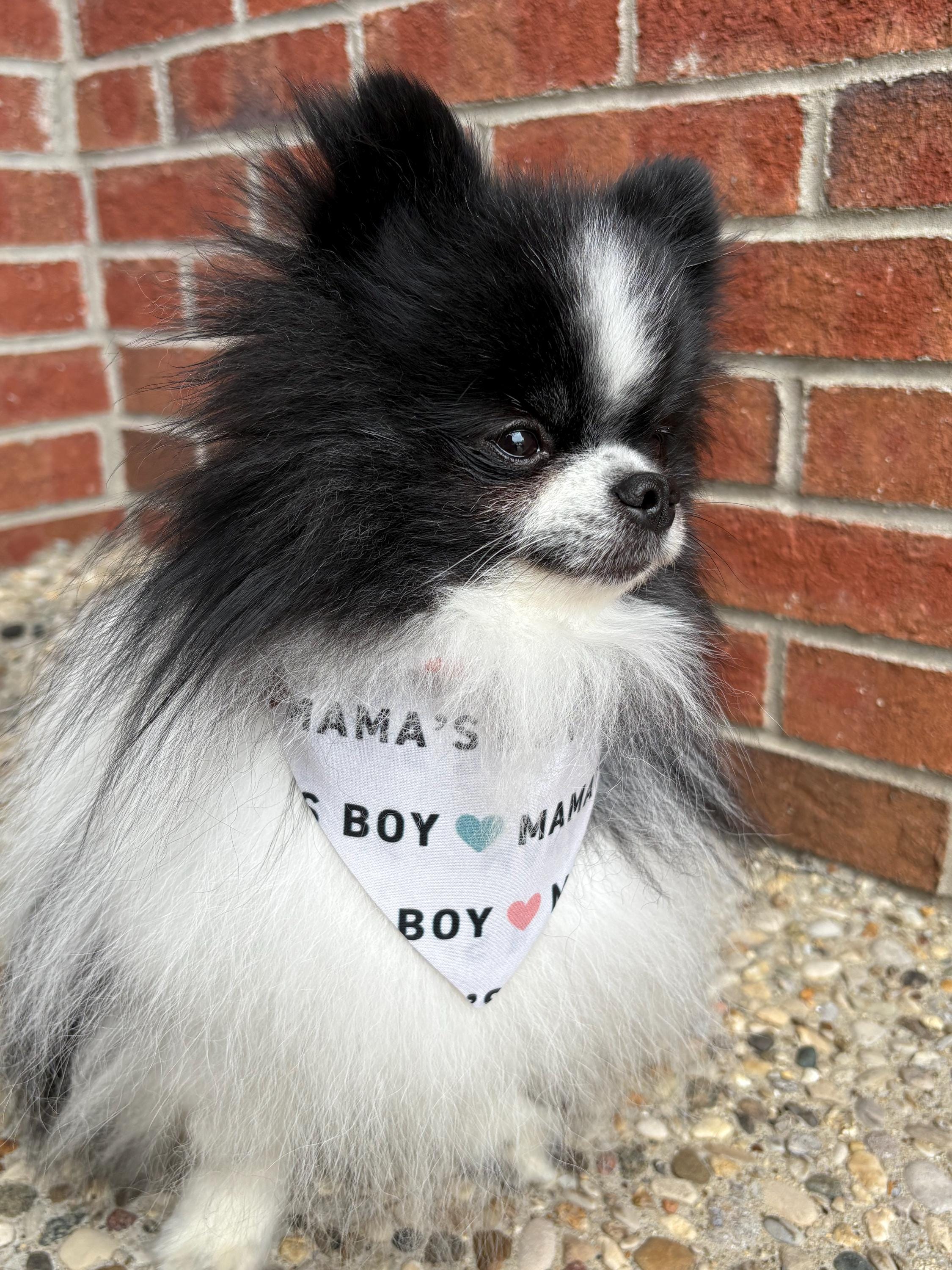 Mama's Boy Dog Bandana: Neutral Boho Hearts, Over the Collar & Scrunchie