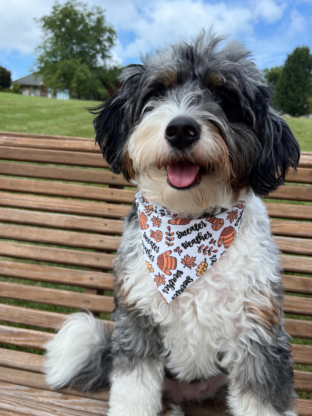 Fall Dog Bandana Sweater Weather Plaid Reversible Scrunchie Bandana Bow Tie Orange Tan Autumn