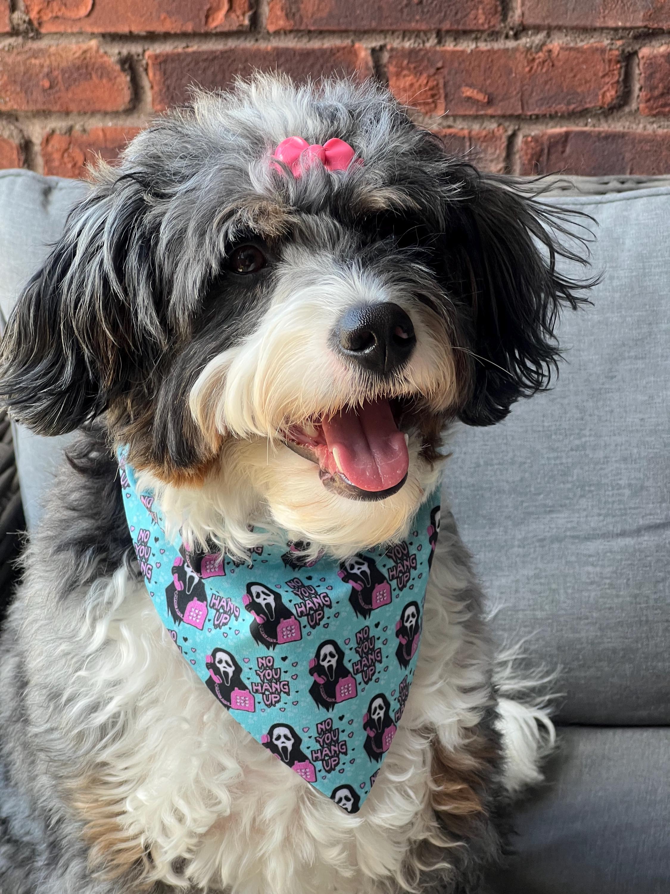 Halloween Scream Dog Bandana Scrunchie: No You Hang Up Pink and Turquoise