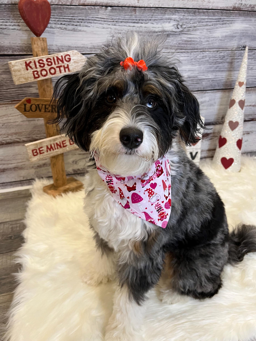 Valentine Gnomes XoXo Love Dog Bandana Over the Collar Bandana Scrunchie Bandana Pink Valentine
