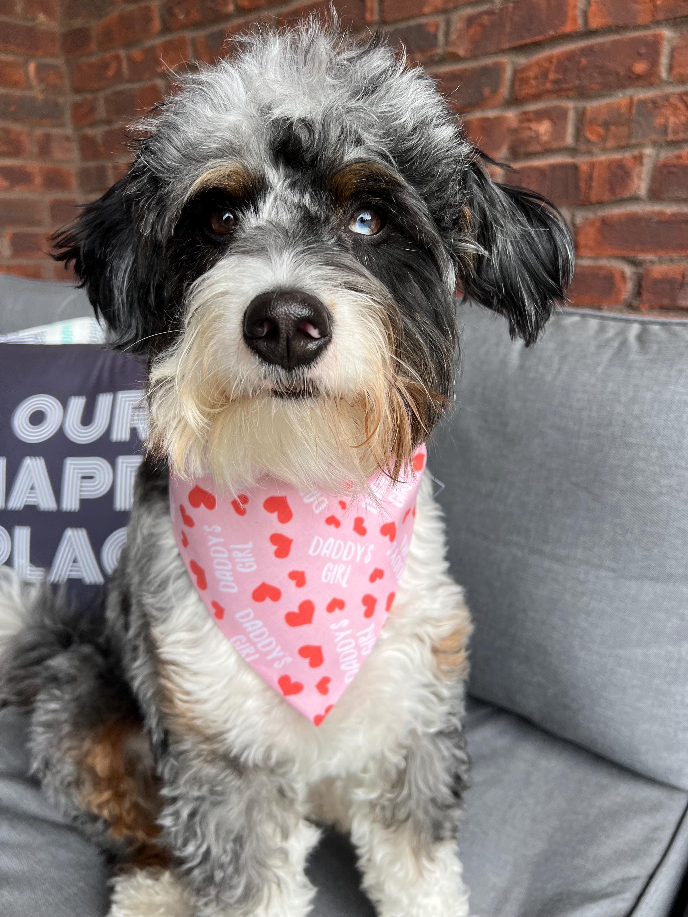 Daddy's Girl Pink and Red Hearts Dog Bandana Over the Collar Scrunchie Father's Day Dad