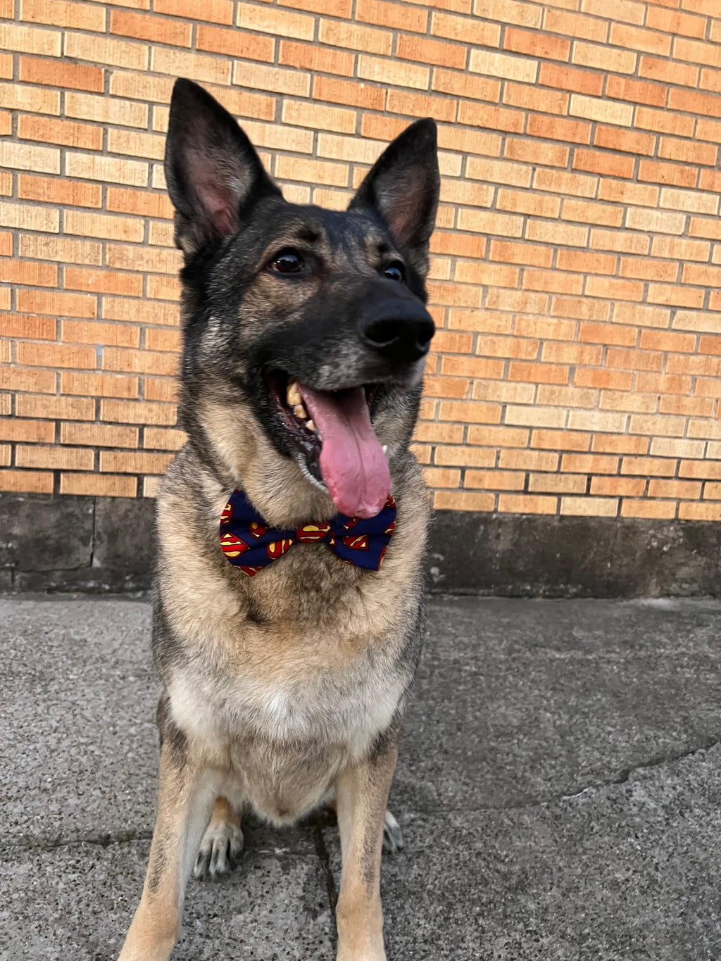 Superhero Superman Dog Bandana Scrunchie Red and Blue