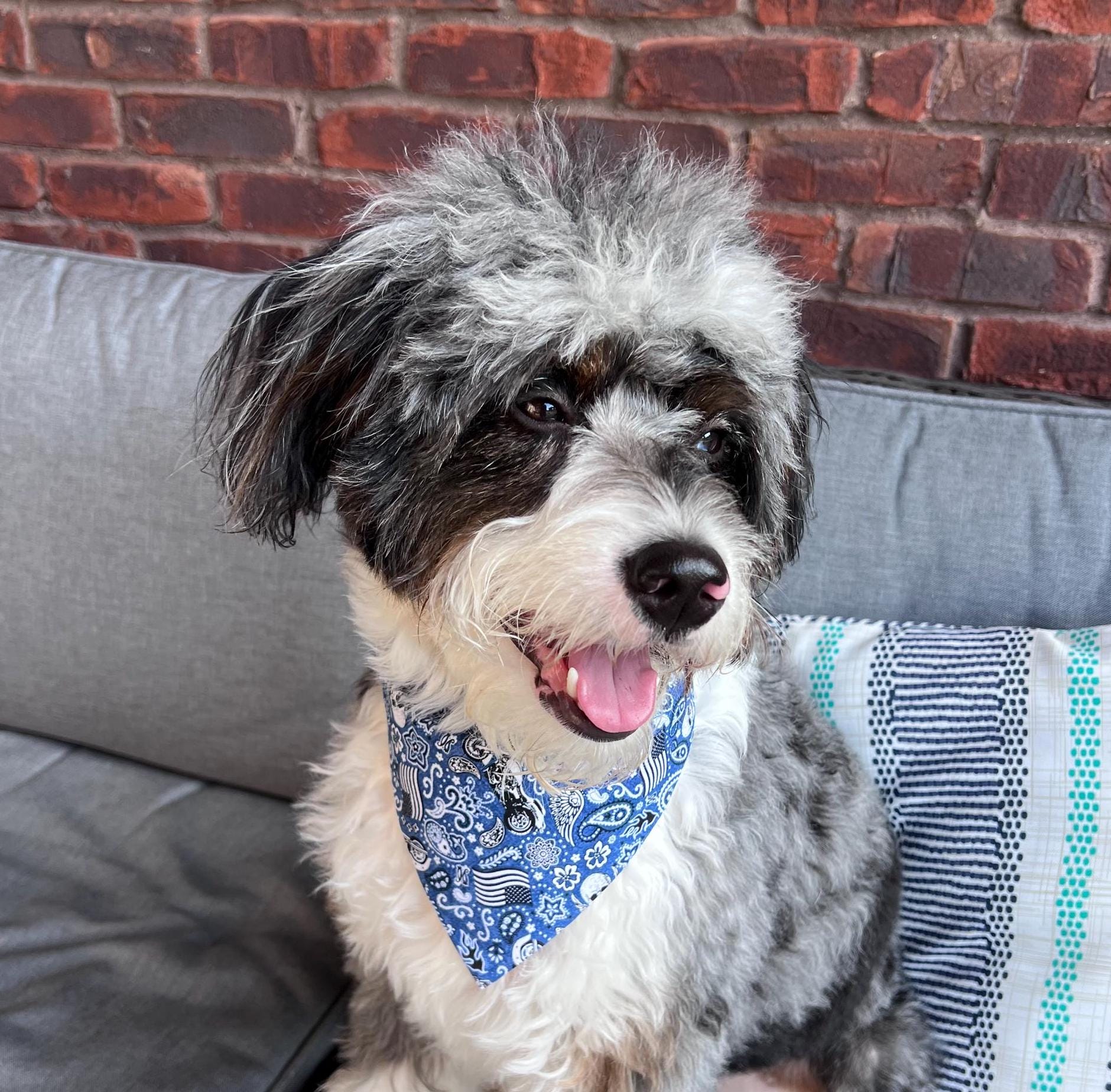 Skulls & Motorcycles Patriotic Dog Bandana - Over the Collar