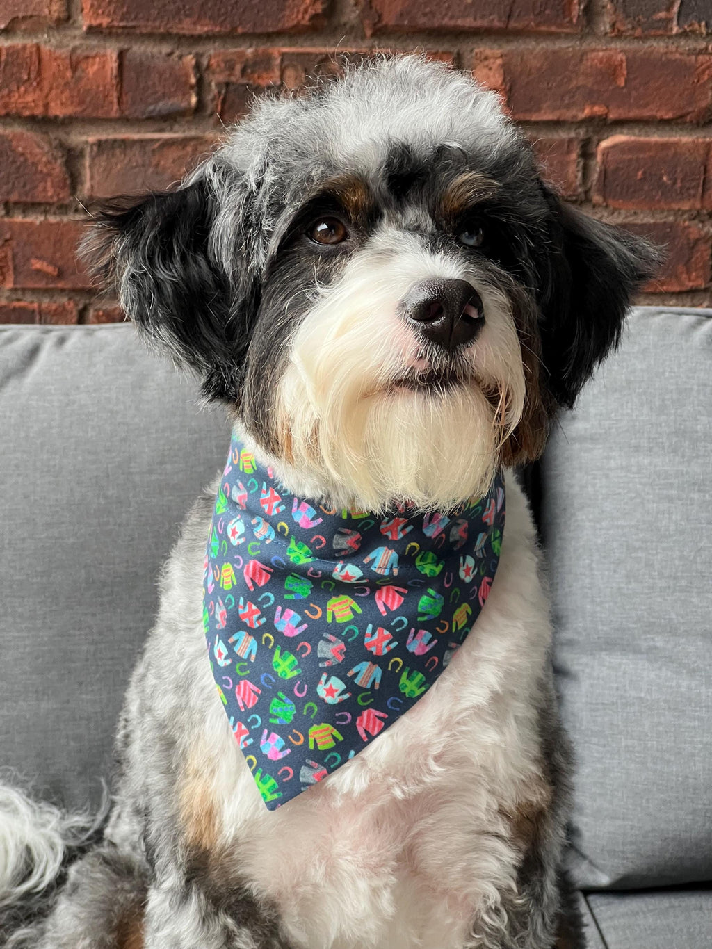 Derby Jockey Silks and Horseshoes Navy Dog Bandana Over the Collar Scrunchie Kentucky