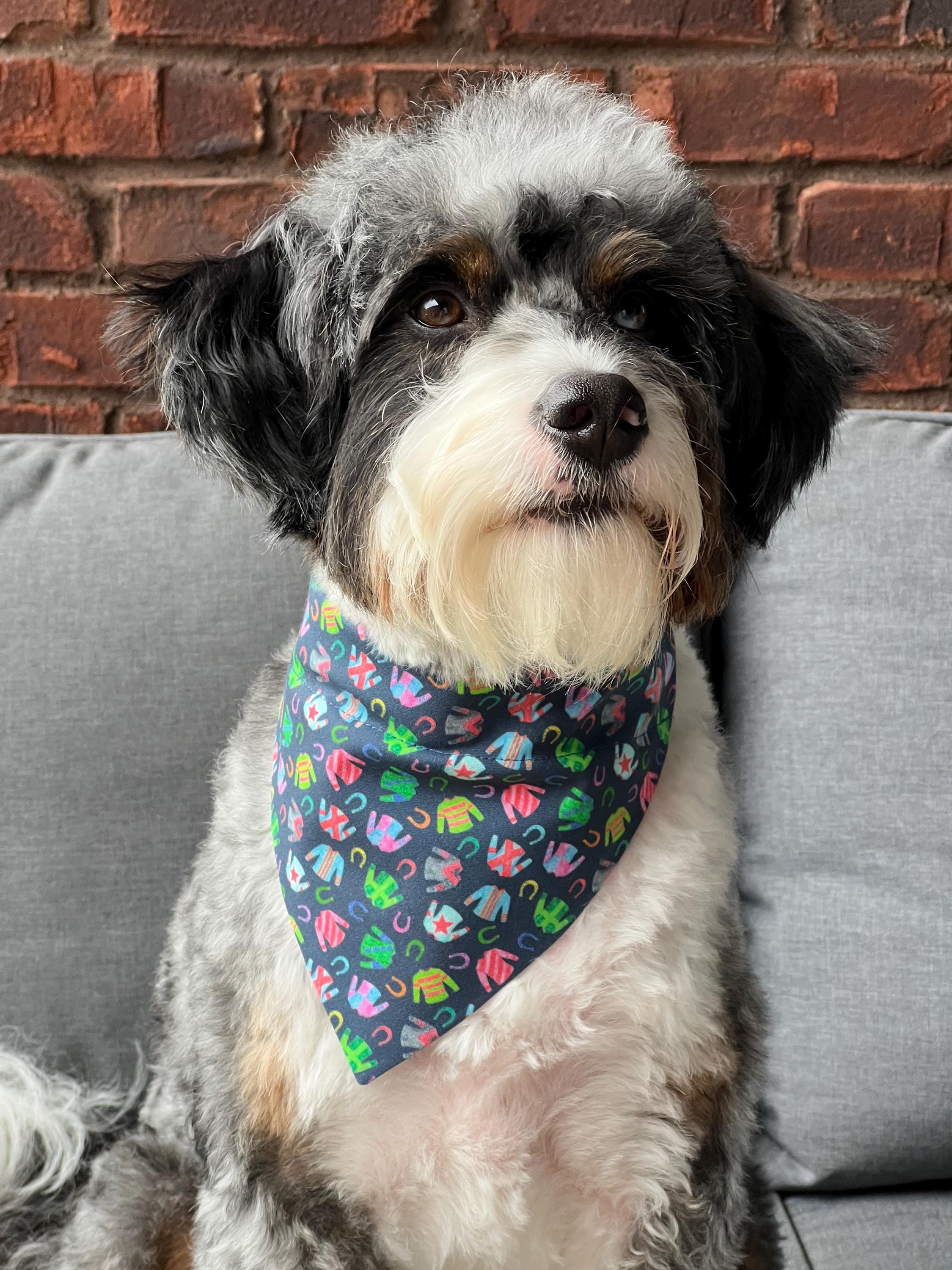 Derby Jockey Silks and Horseshoes Navy Dog Bandana Over the Collar Scrunchie Kentucky