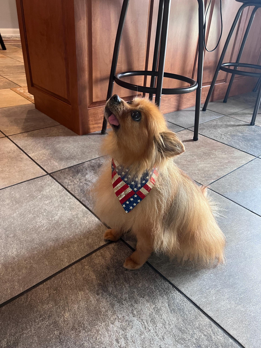 USA American Flag Patriotic Dog Bandana, Bow Tie - Over the Collar