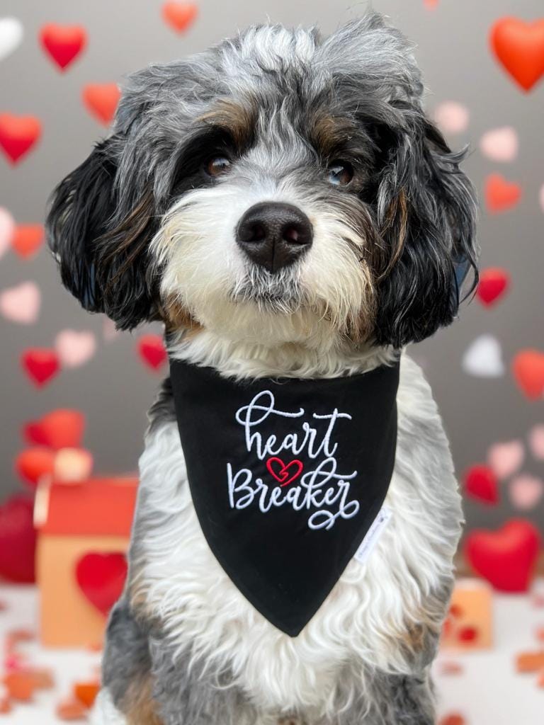 Heart Breaker Dog Bandana: Scrunchie, Valentine Embroidered