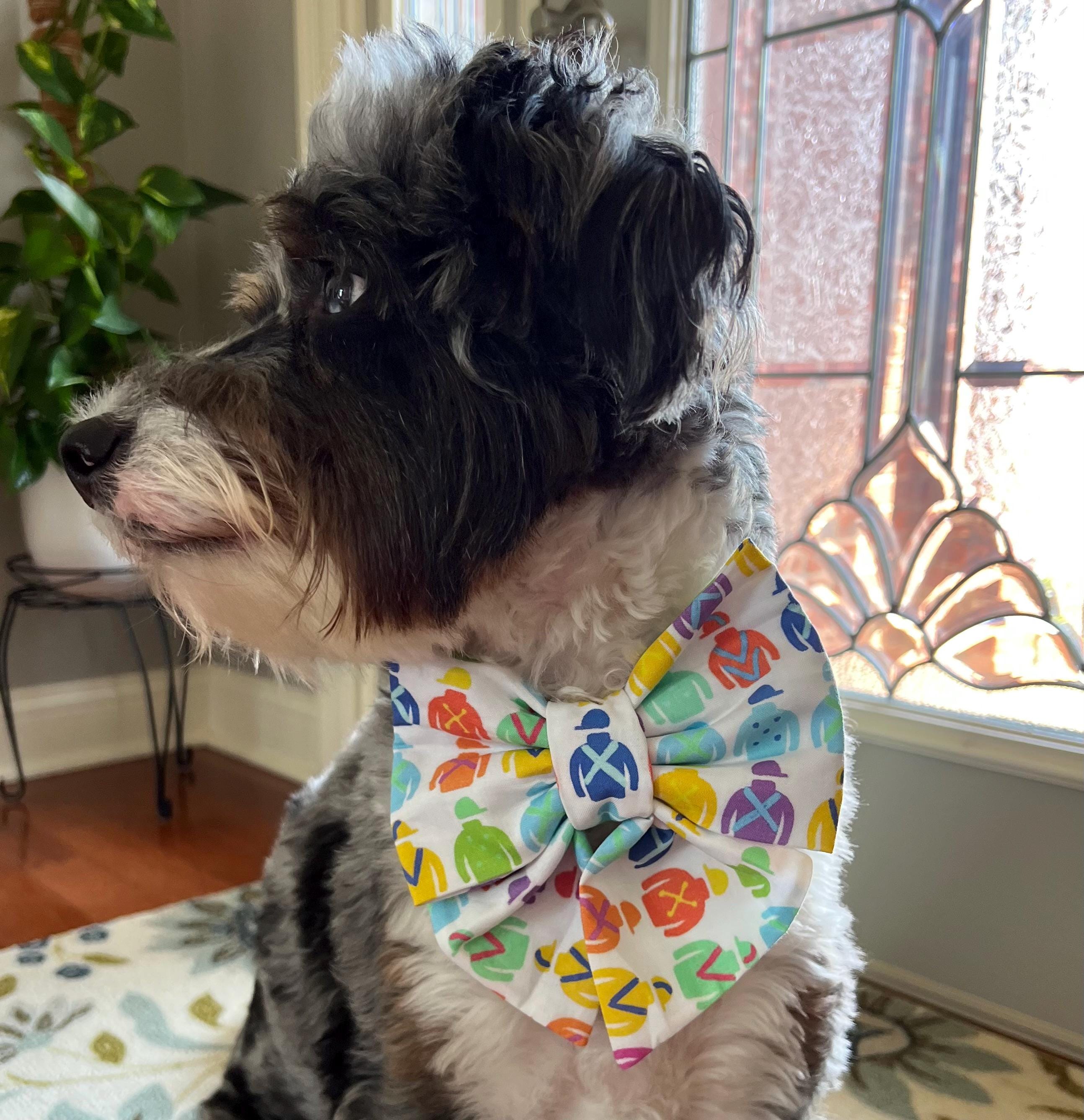 Derby Jockey Silks Pastel Dog Bandana Over the Collar Bow Tie Sailor & Scrunchie Bandana Kentucky