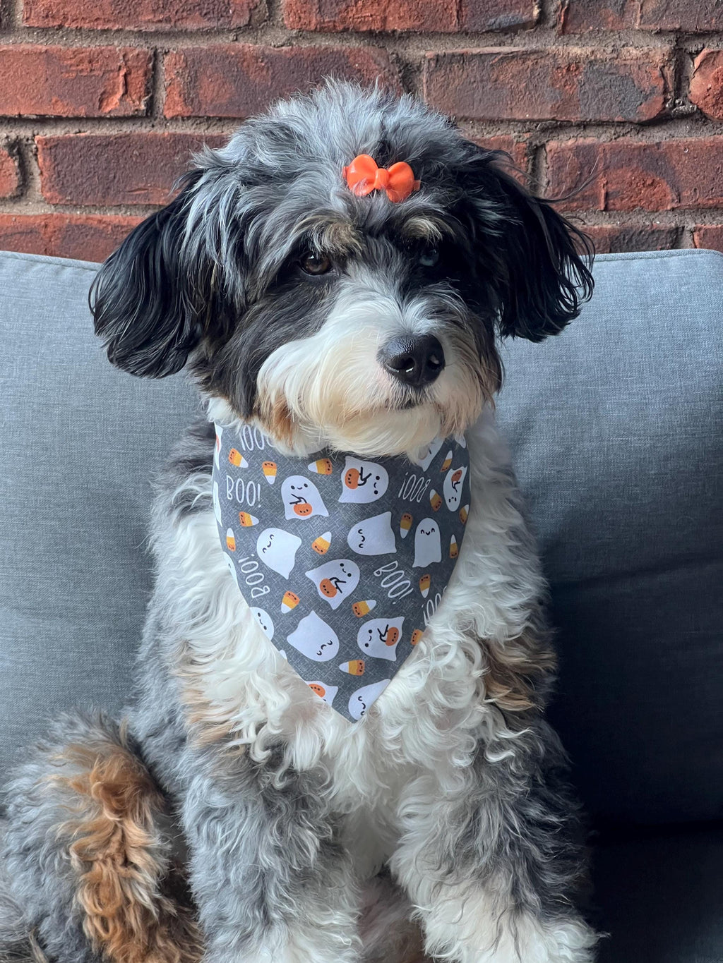 Halloween Dog Bandana: Spooky Bones Treats, Bats, Pumpkins - Over the Collar or Scrunchie