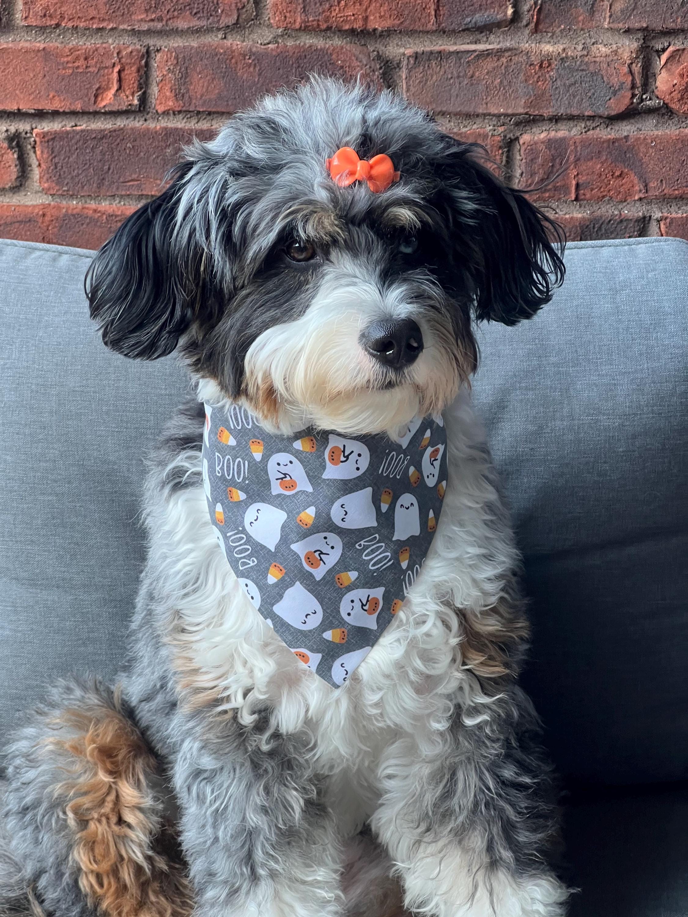 Halloween Dog Bandana: Spooky Bones Treats, Bats, Pumpkins - Over the Collar or Scrunchie