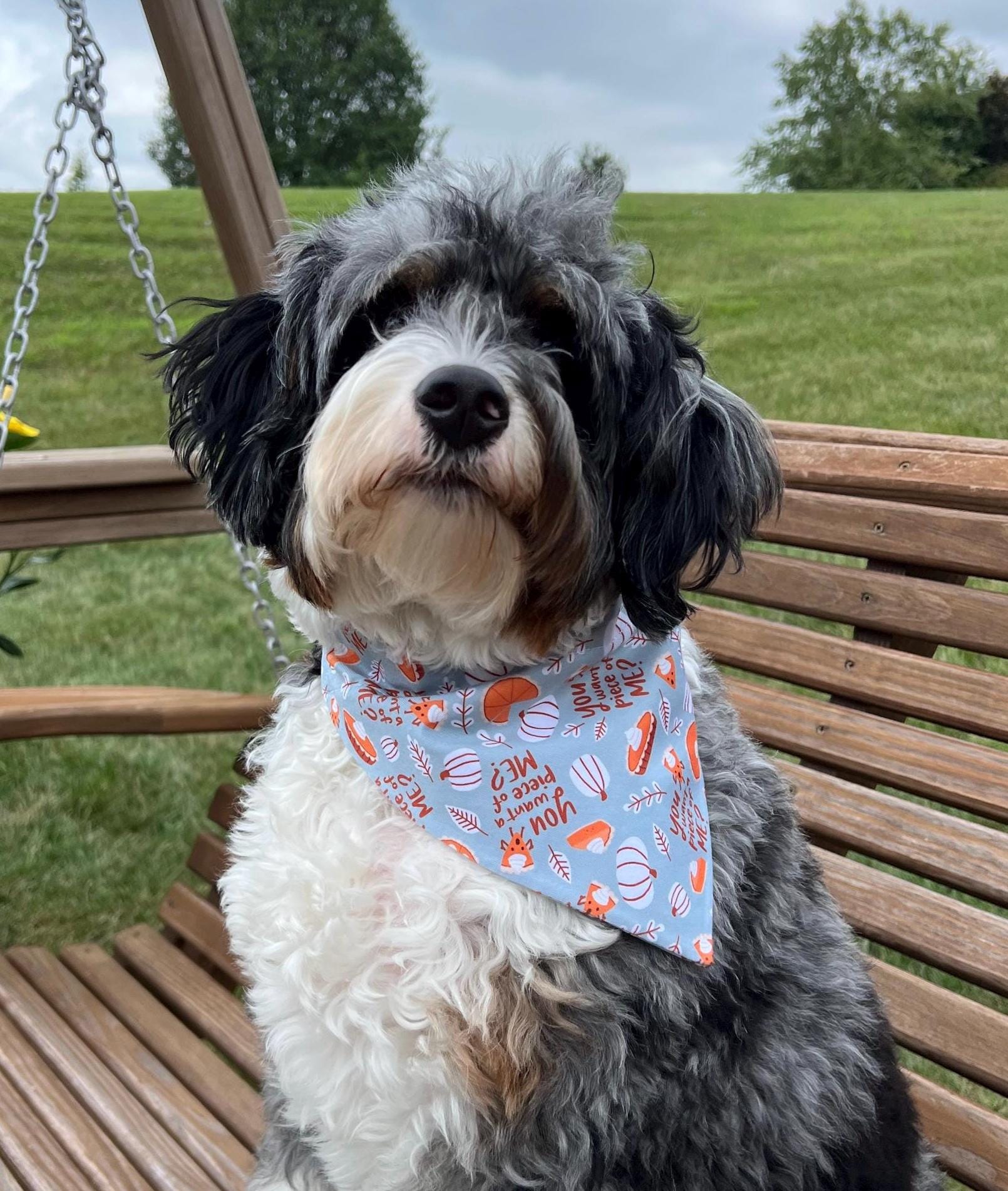Fall Pumpkin Pie Dog Bandana: Scrunchie Piece of Me Teal Jersey Thanksgiving