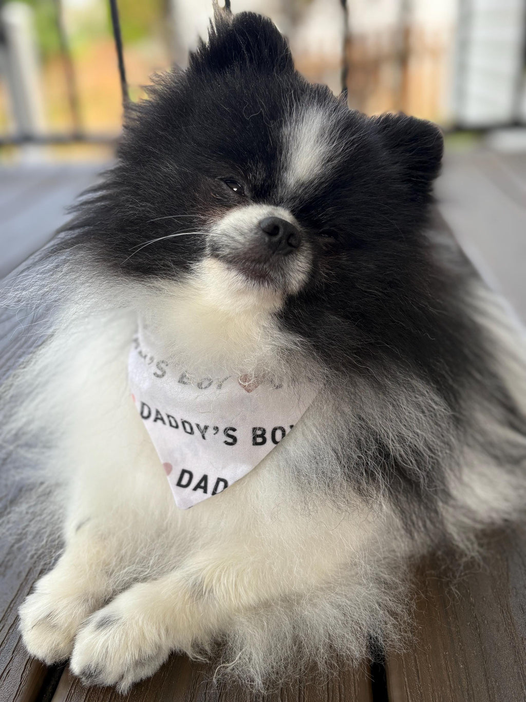 Daddy's Boy Dog Bandana: Neutral Boho Hearts, Over the Collar & Scrunchie