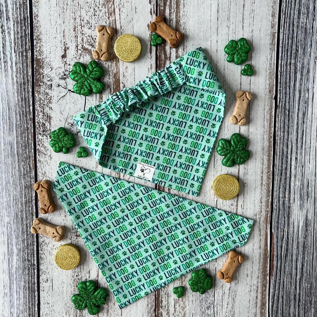 St Patrick's Dog Bandana: Lucky Dog Paw Print Scrunchie & Over the Collar