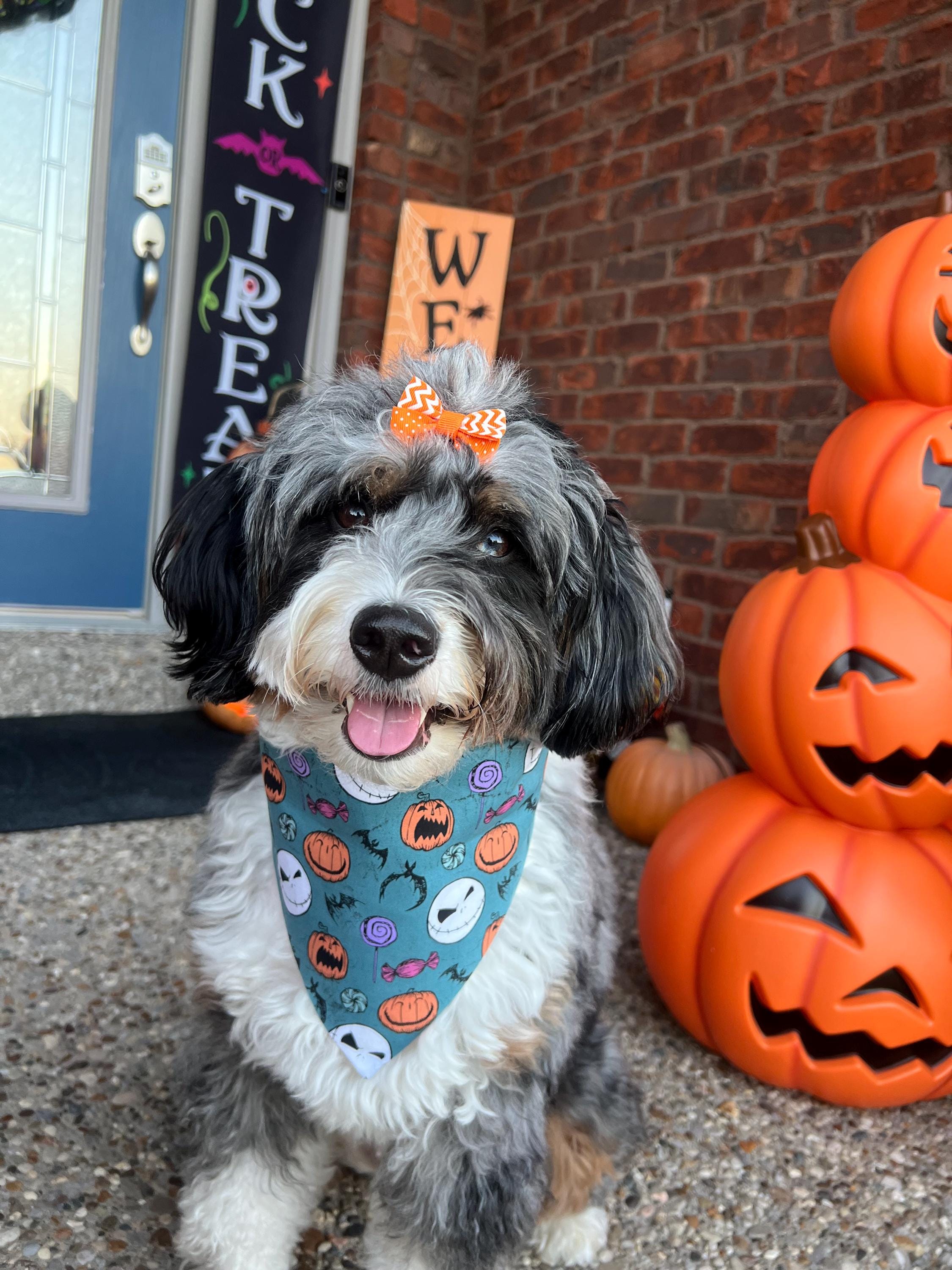Jack Skellington Scrunchie Dog Bandana: Reversible Halloween Nightmare