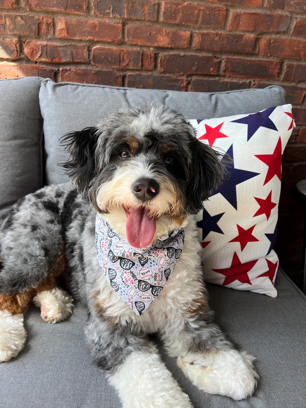 Sandlot Baseball Dog Bandana Scrunchie FOREVER Summer Nostalgic Killin' Me Smalls