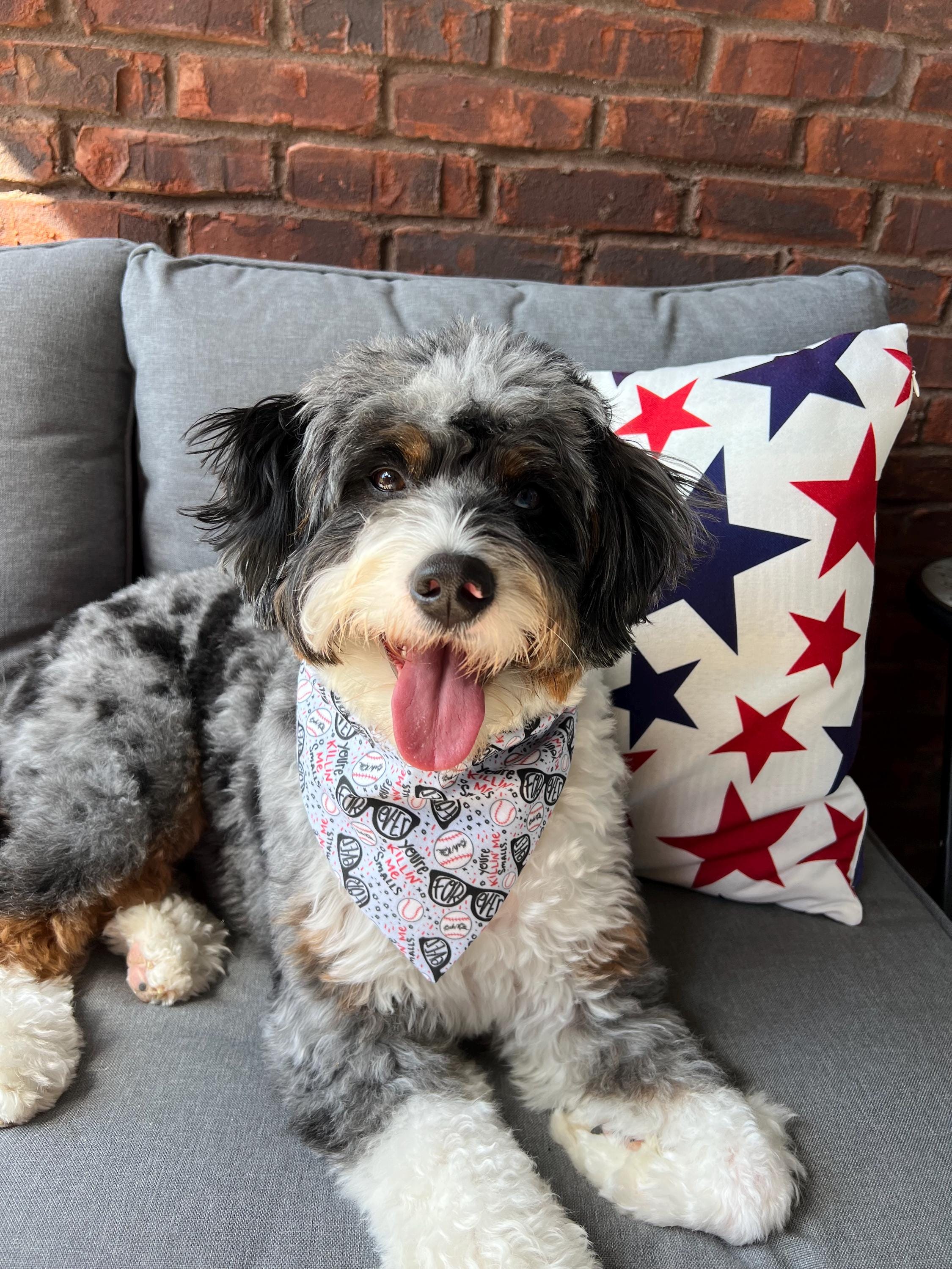 Sandlot Baseball Dog Bandana Scrunchie FOREVER Summer Nostalgic Killin' Me Smalls