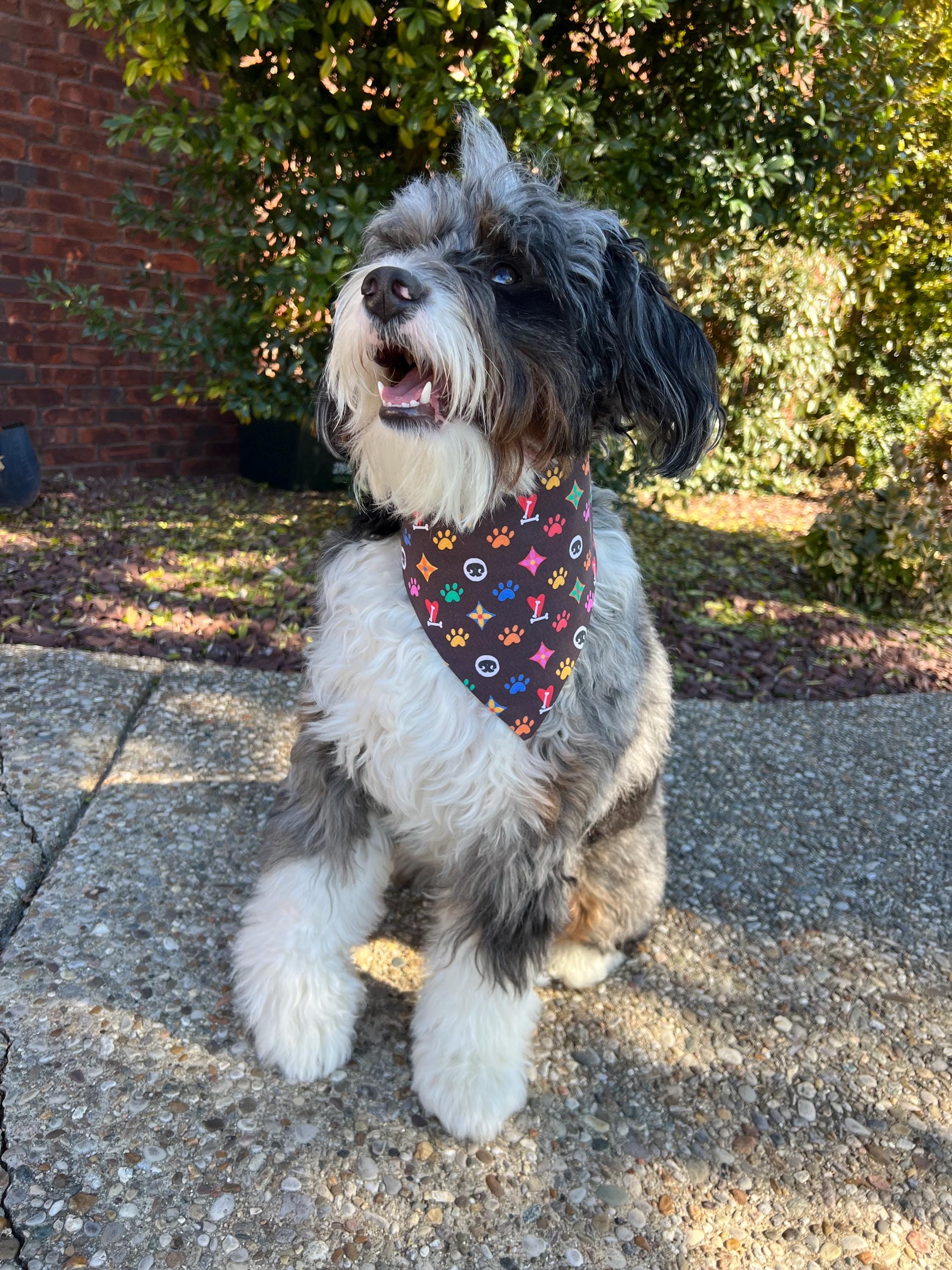 Luxe Couture Louis Dog Bandana: Over the Collar and Scrunchie Large Print Multi Color