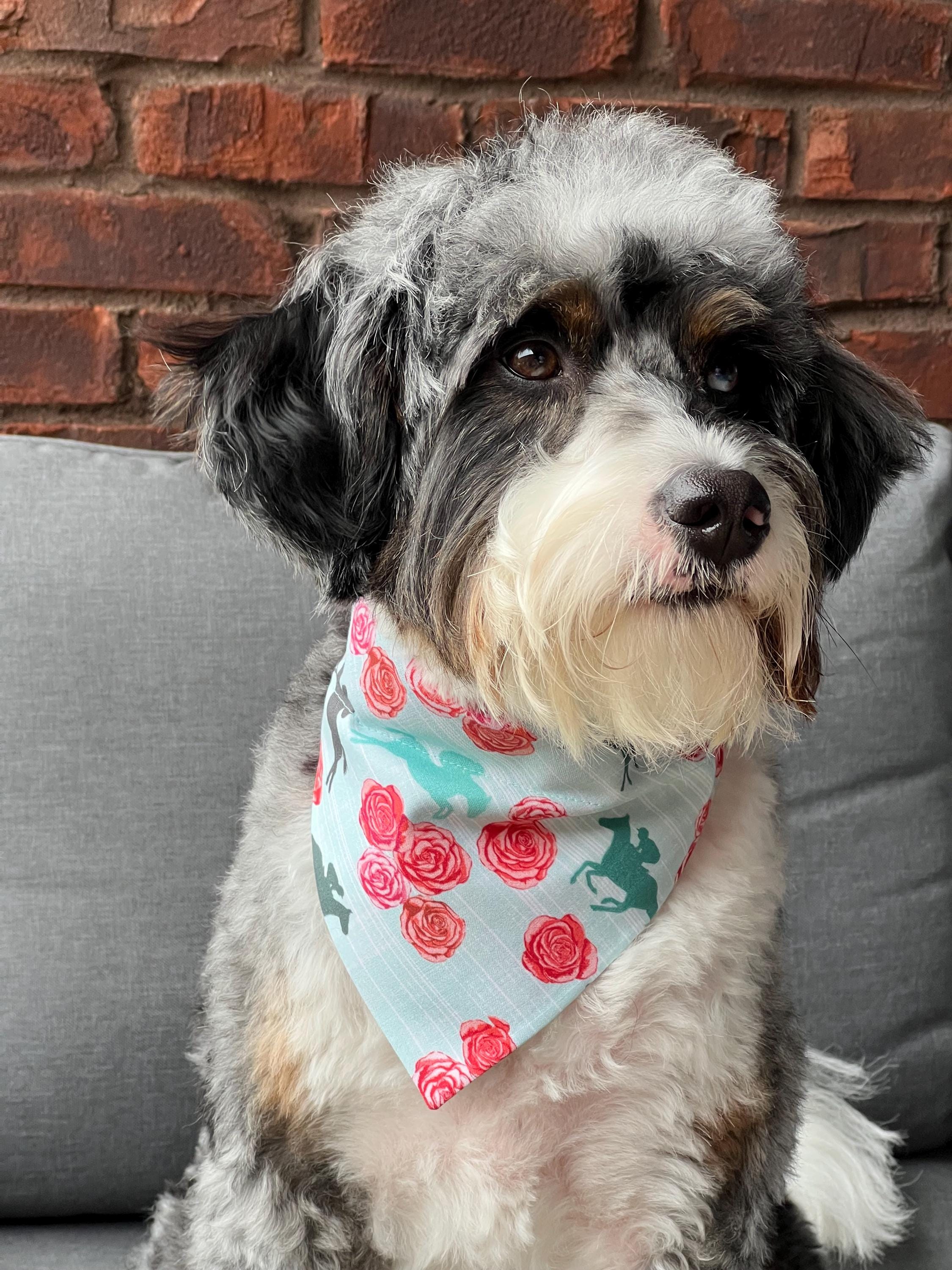 Derby Run for Roses Horse Racing Teal Dog Bandana: Scrunchie Kentucky