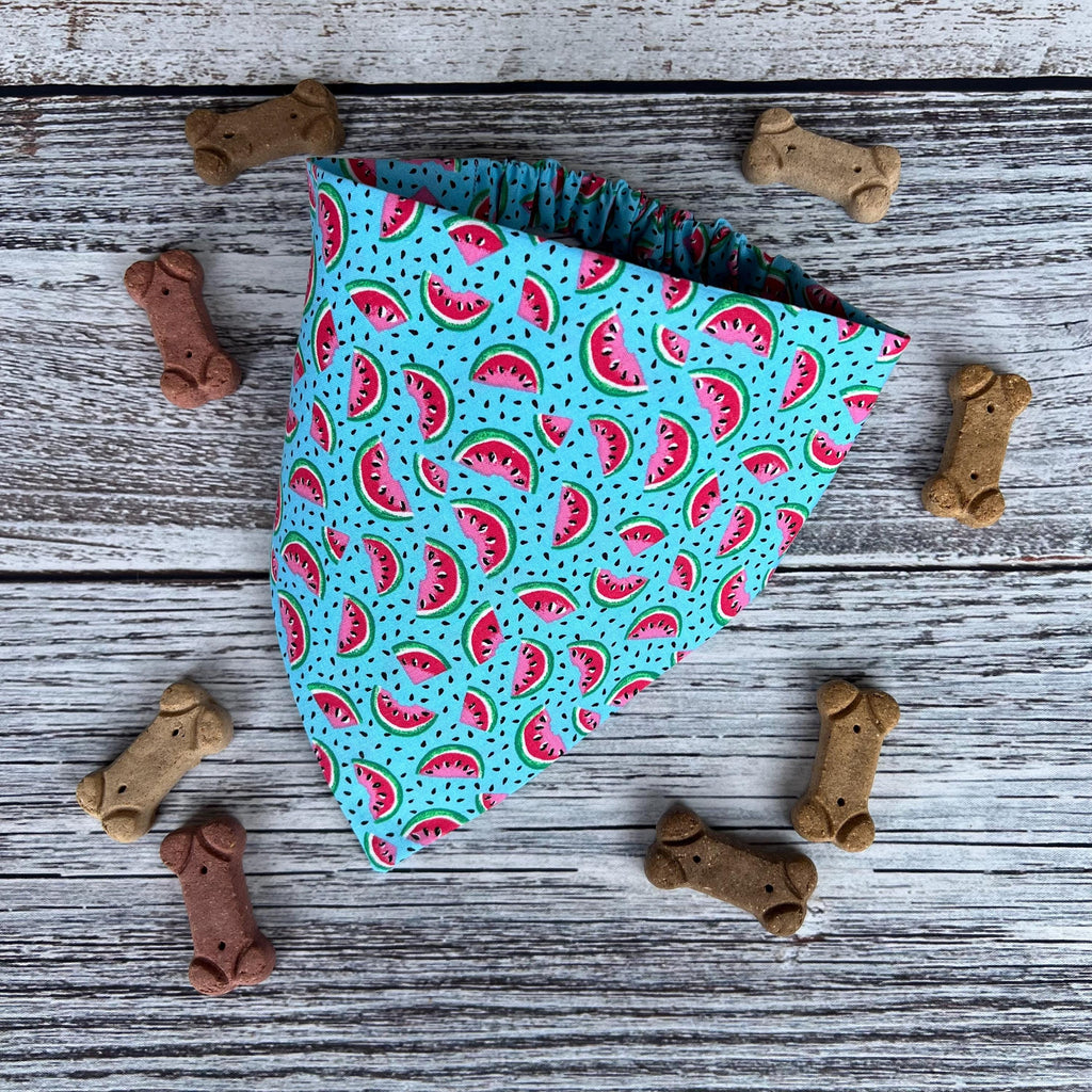 Watermelon Slices Summertime Turquoise Dog Bandana Over the Collar Scrunchie Fruity Summer Food