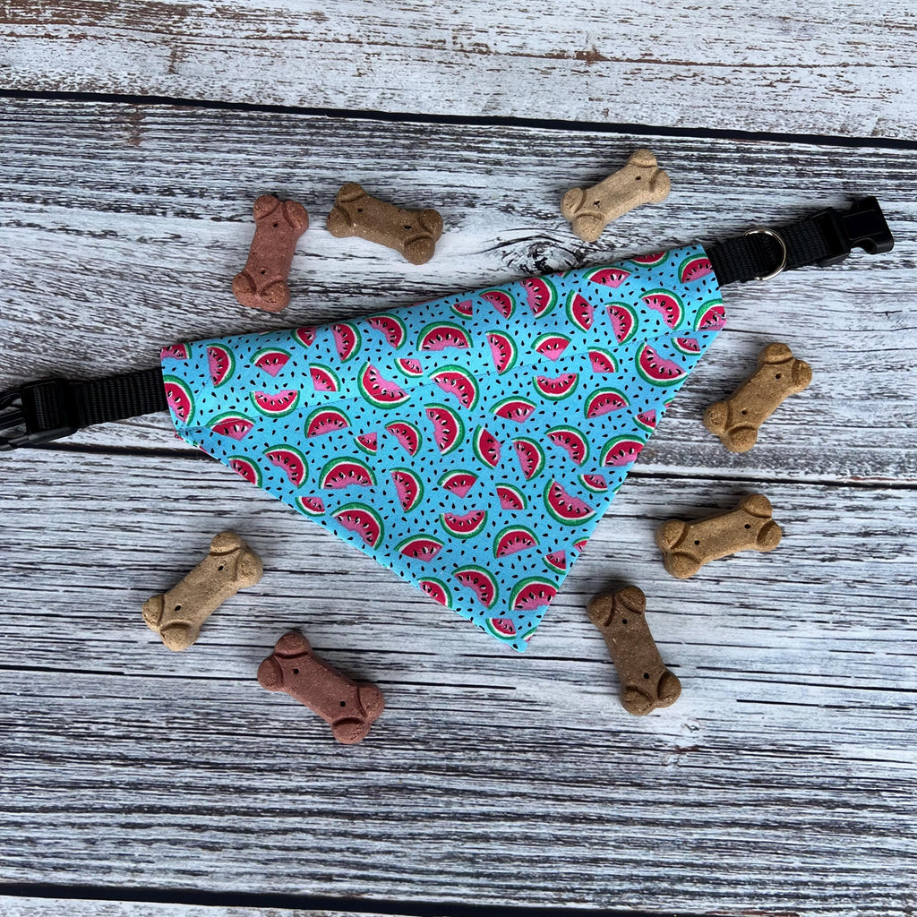 Watermelon Slices Summertime Turquoise Dog Bandana Over the Collar Scrunchie Fruity Summer Food
