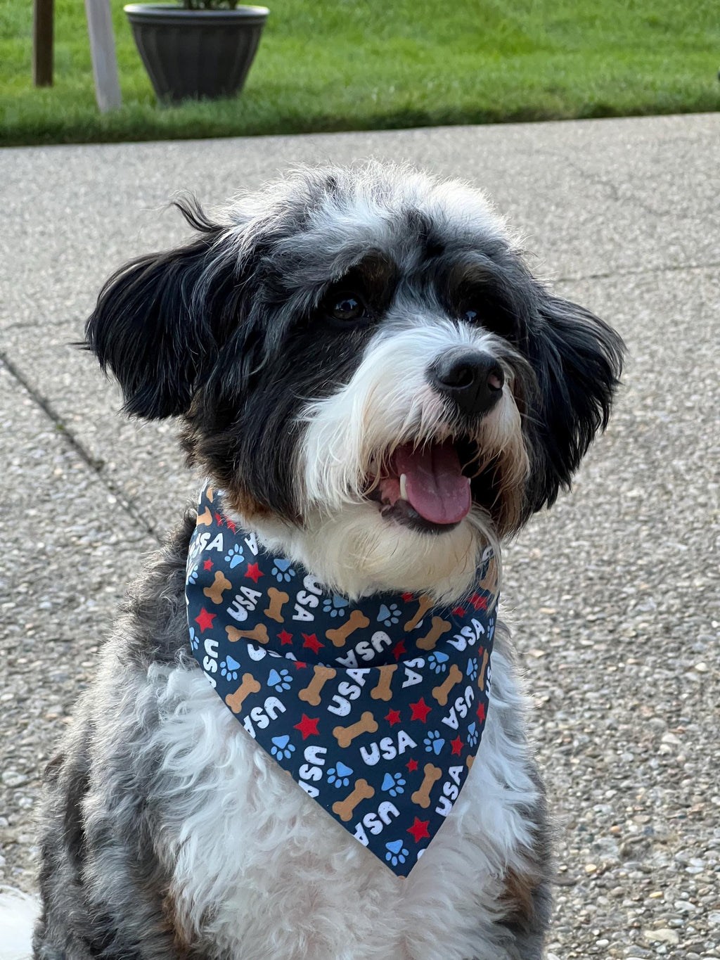 Patriotic Dog Bandana: Fourth of July USA Scrunchie & Over the Collar