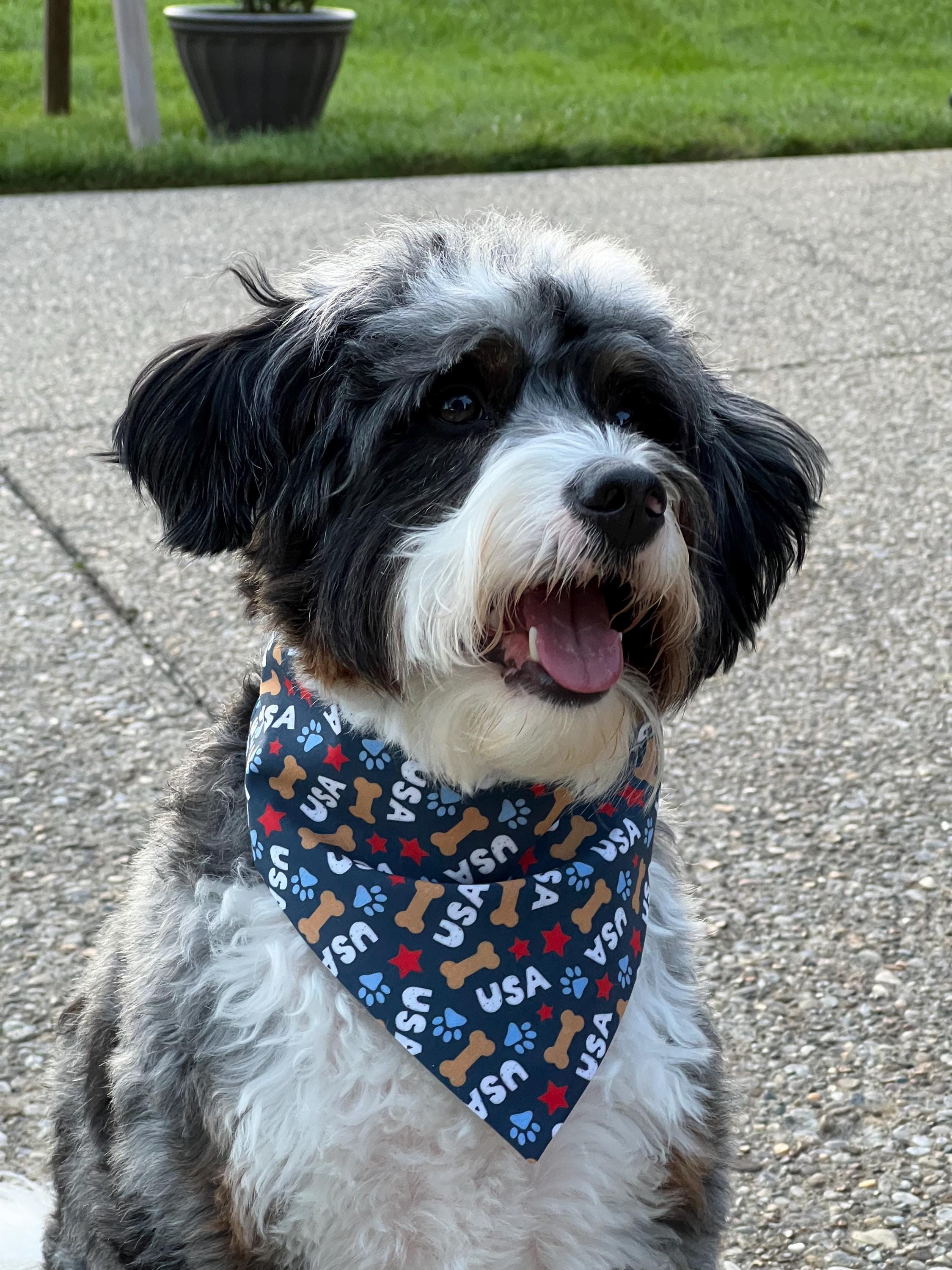 Patriotic Dog Bandana: Fourth of July USA Scrunchie & Over the Collar
