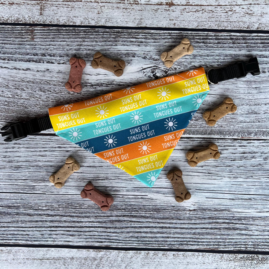 Suns Out Tongues Out Dog Bandana: Teal Orange Yellow Blue Over the Collar & Scrunchie