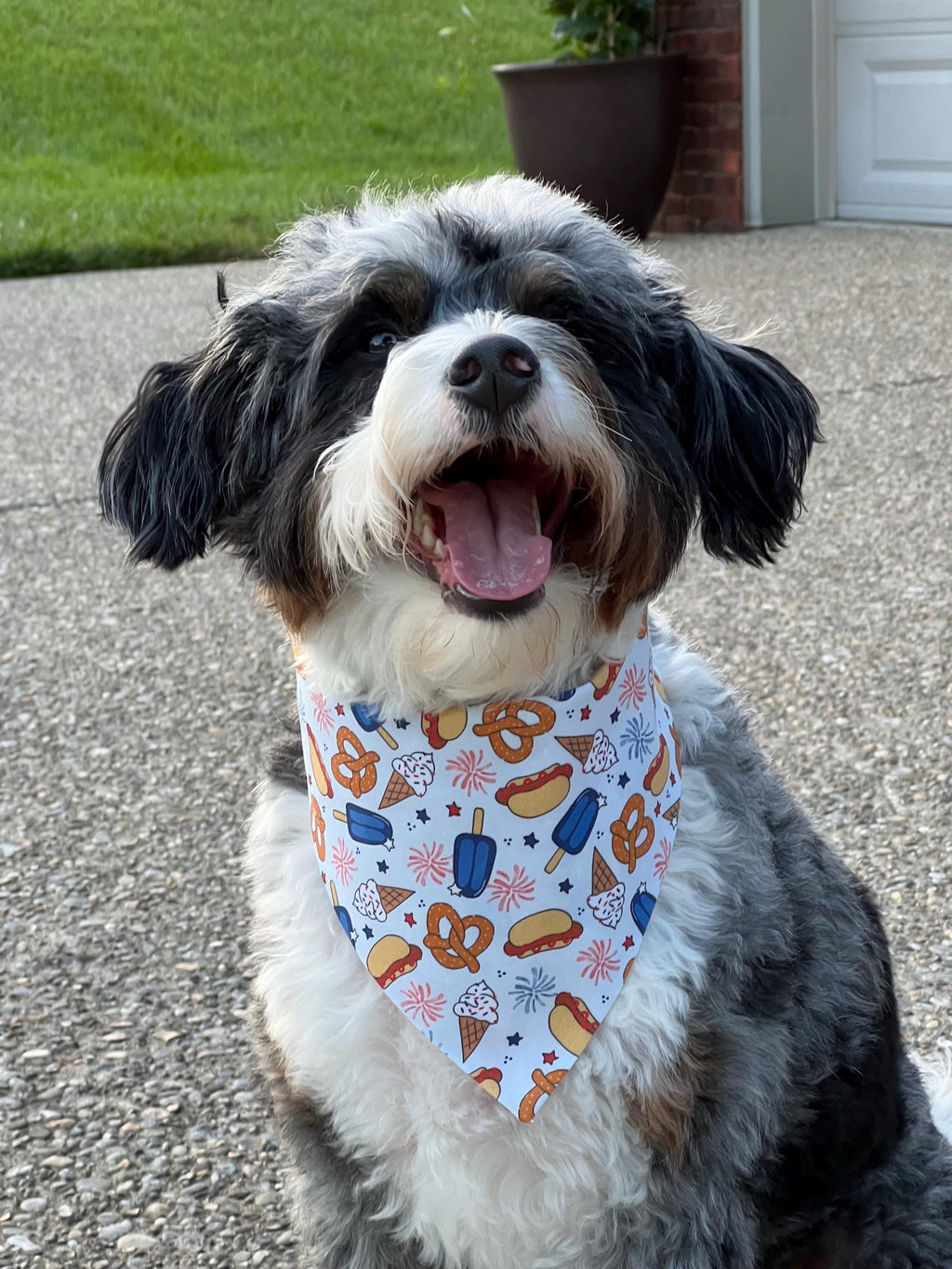 Patriotic Dog Bandana: July Fourth Snacks, Over the Collar & Scrunchie