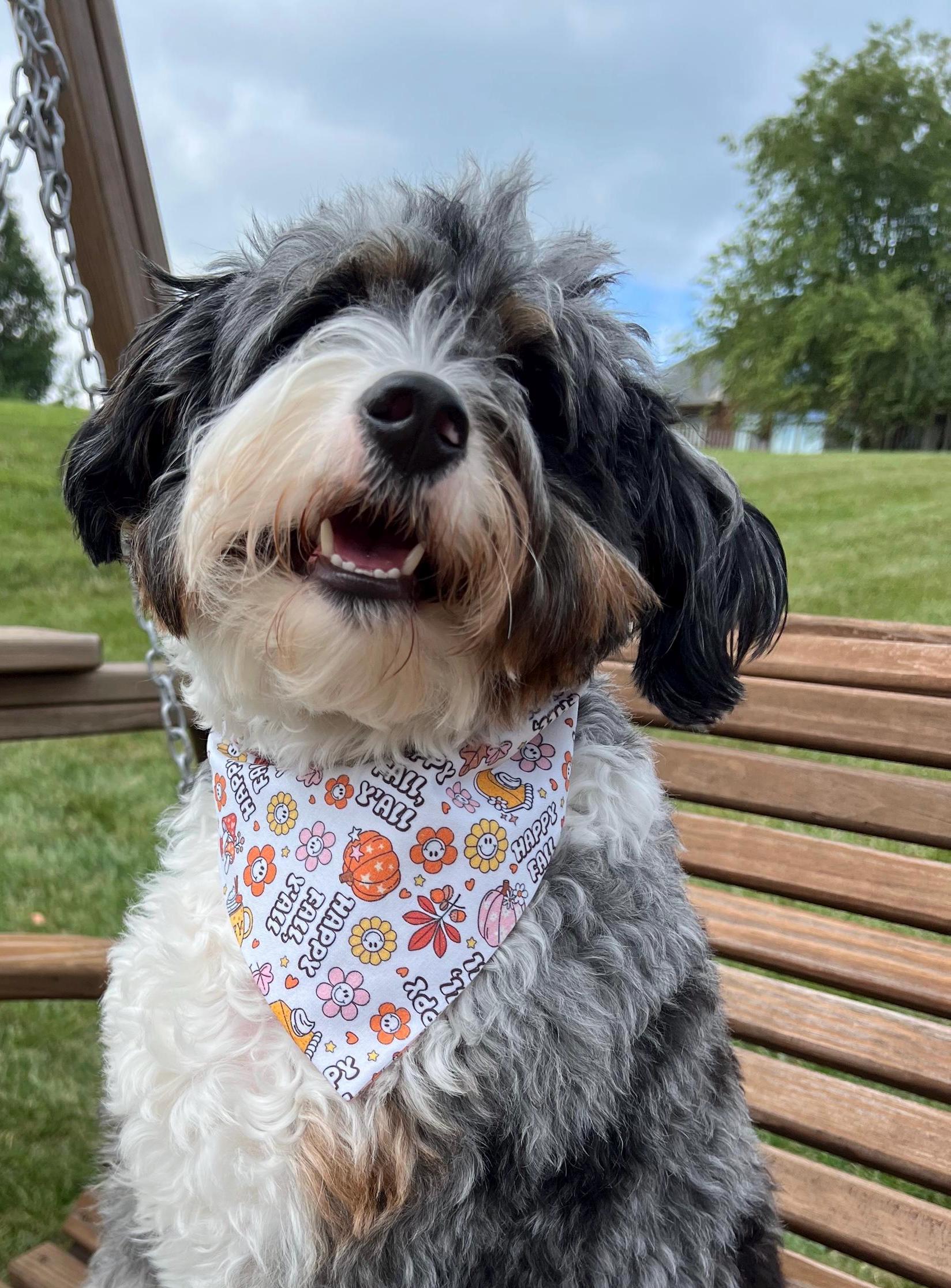 Fall Dog Bandana: Happy Fall Y'all Reversible Scrunchie with Pumpkins, Leaves & Flowers