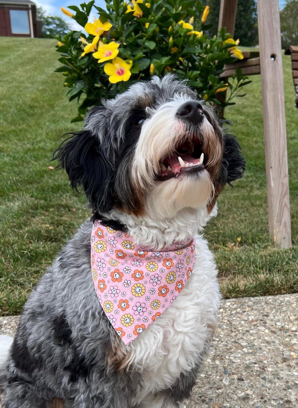Fall Dog Bandana: Happy Fall Y'all Reversible Scrunchie with Pumpkins, Leaves & Flowers