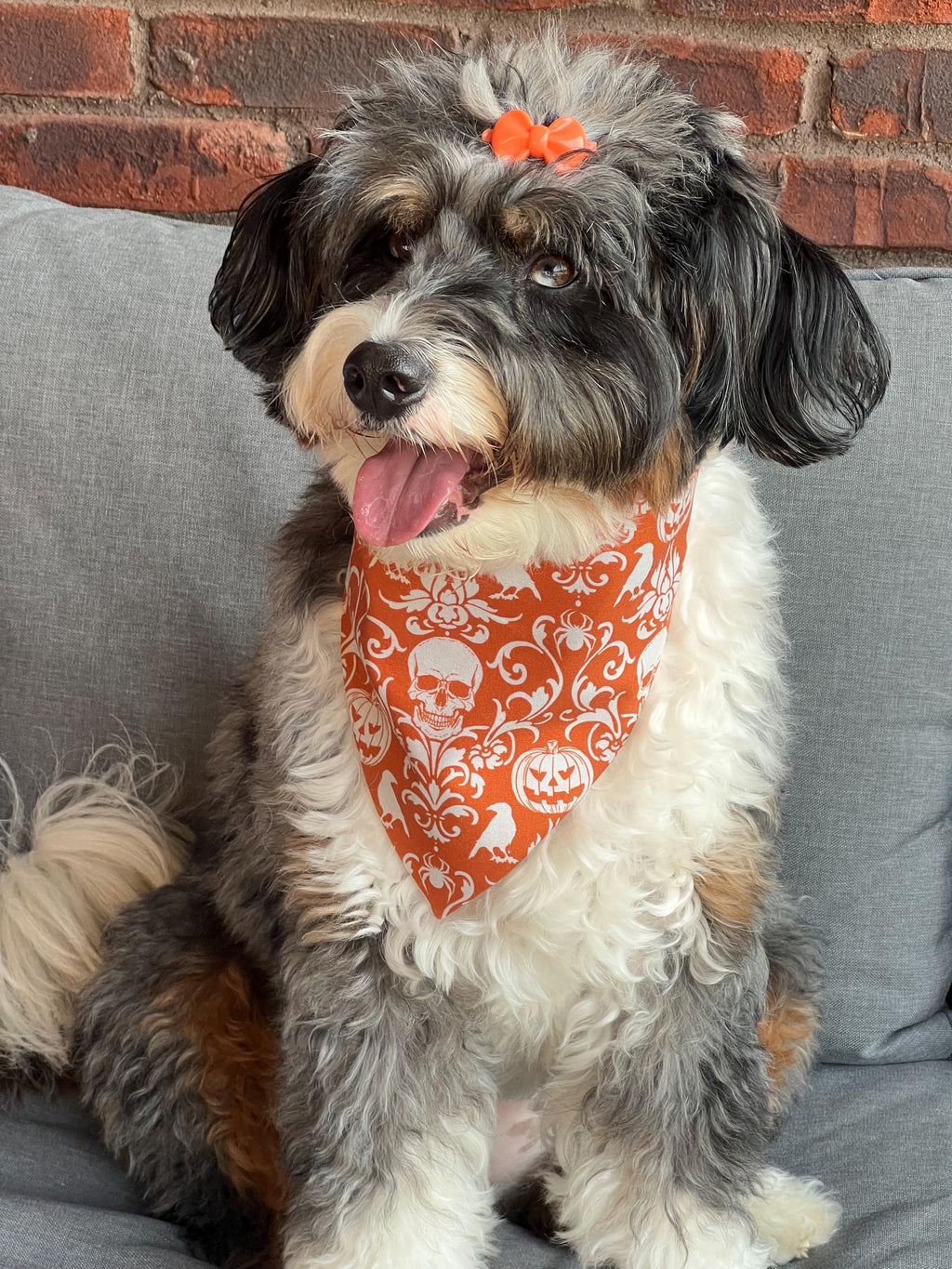 Halloween Haunted Mansion Dog Bandana Scrunchie: Spooky Jack-O-Lanterns, Crows, Skulls Goth Pumpkins