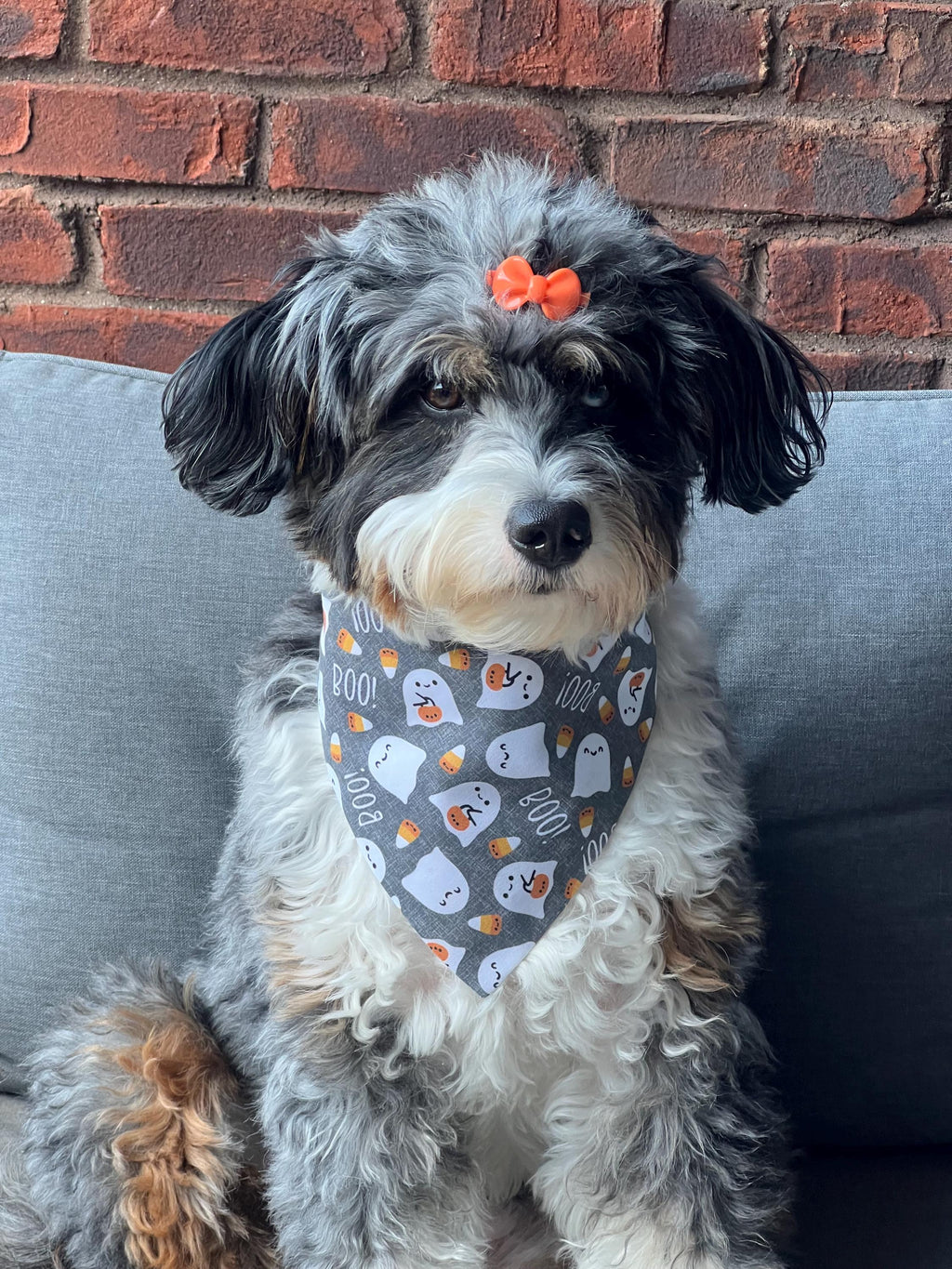 Halloween Dog Bandana: BOO! Ghosts & Candy Corn - Over the Collar Scrunchie
