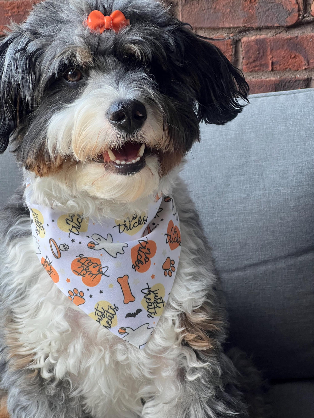 Halloween Ghosts Dog Bandana: No Tricks, Just Treats Over the Collar & Scrunchie