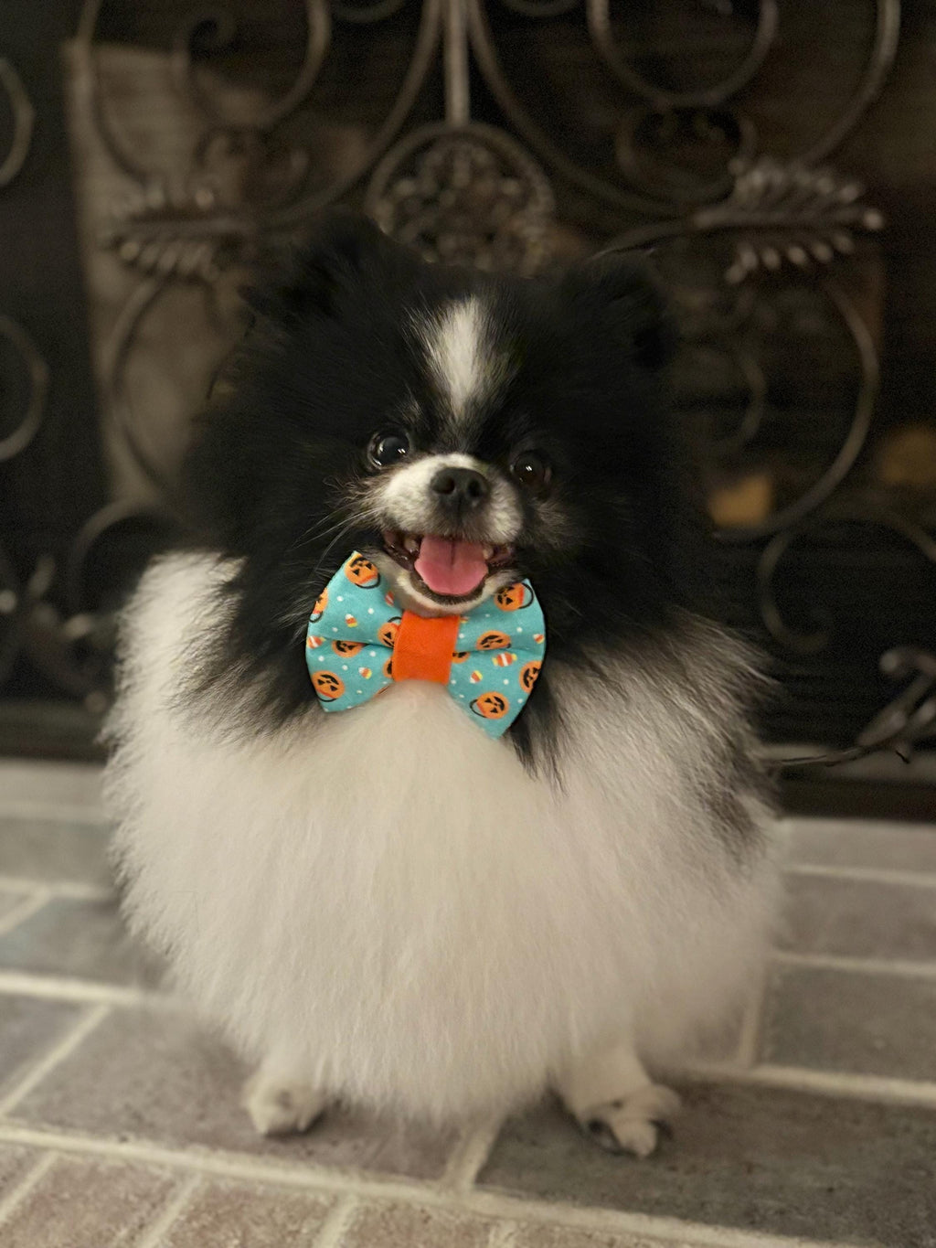 Halloween Dog Bow Tie: Pumpkin Pails Candy Corn - Over the Collar