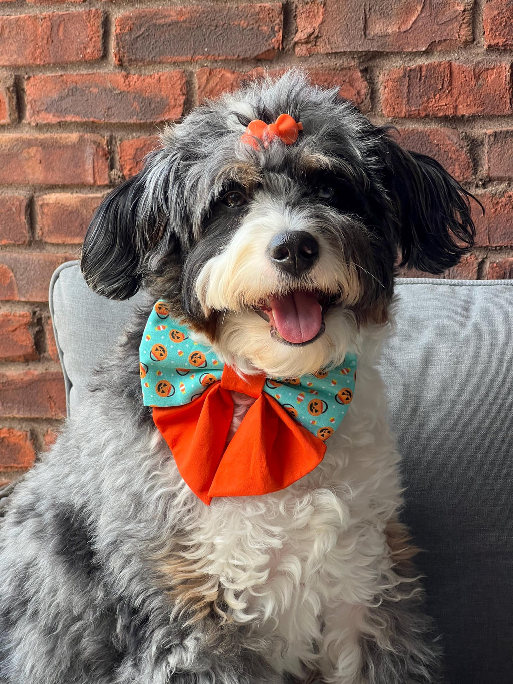Halloween Dog Bow Tie: Pumpkin Pails Candy Corn - Over the Collar